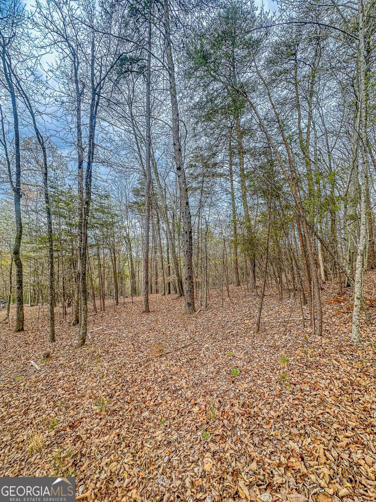 0 Green Meadows Property Photo 6