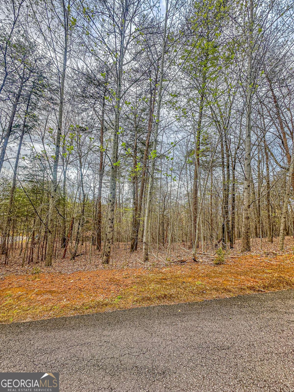 0 Green Meadows Property Photo 7