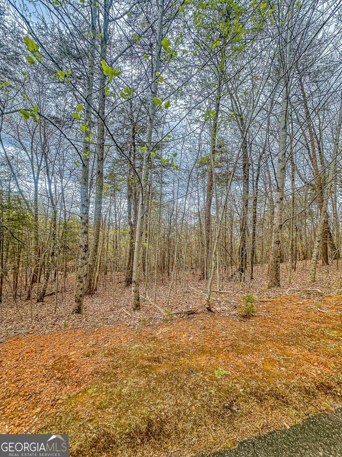 0 Green Meadows Property Photo 8