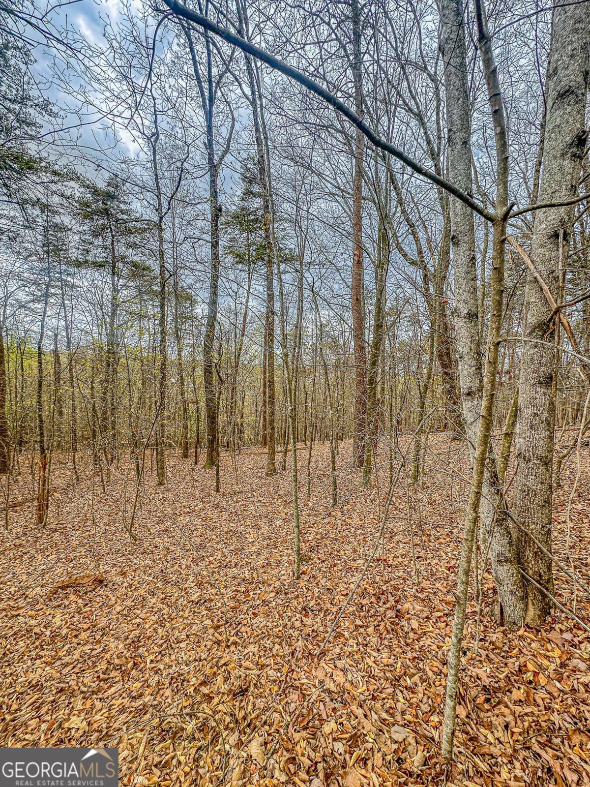 0 Green Meadows Property Photo 9