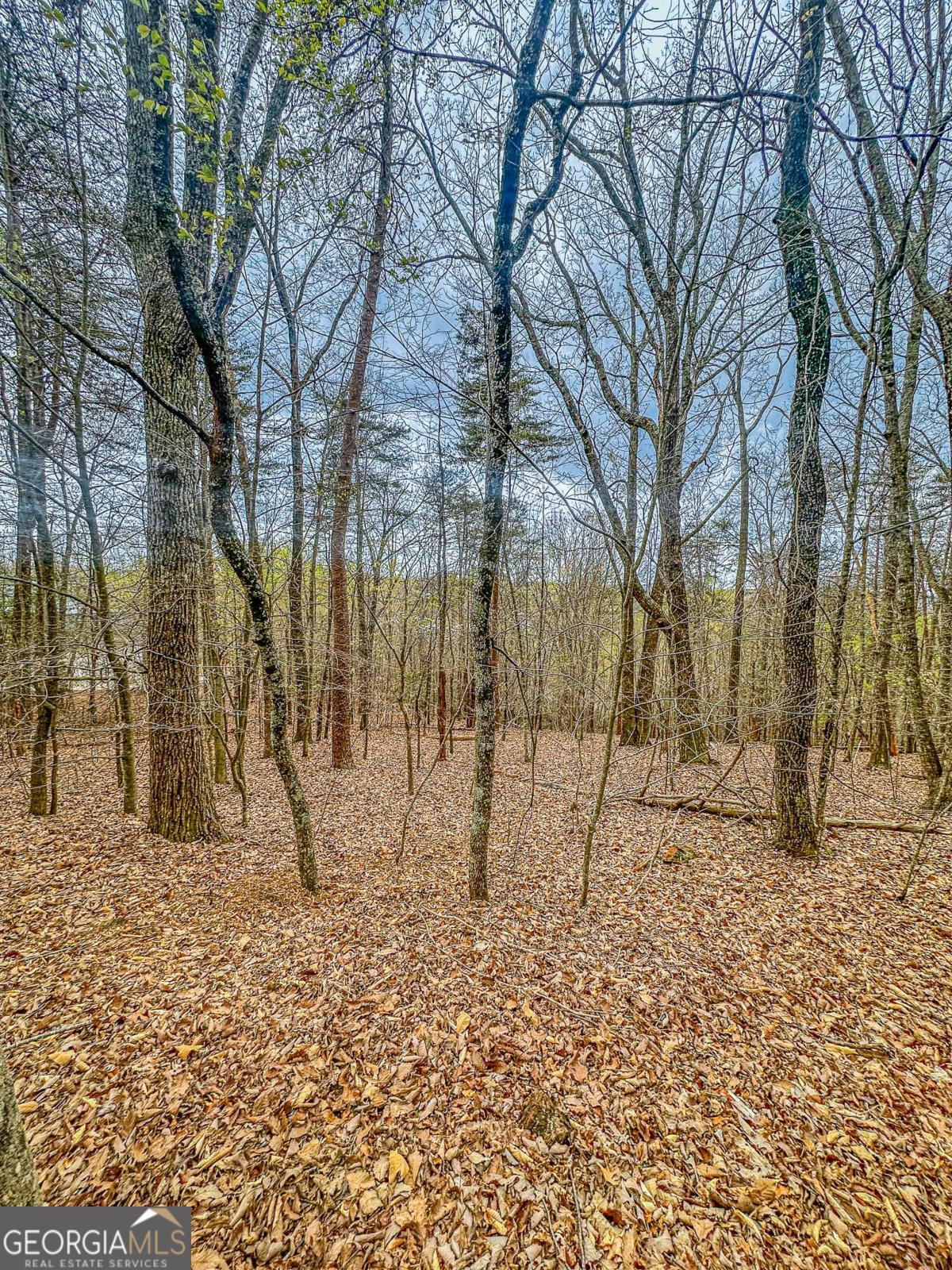 0 Green Meadows Property Photo 10