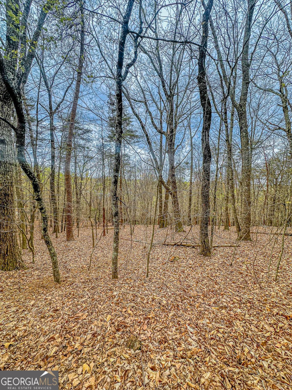 0 Green Meadows Property Photo 11