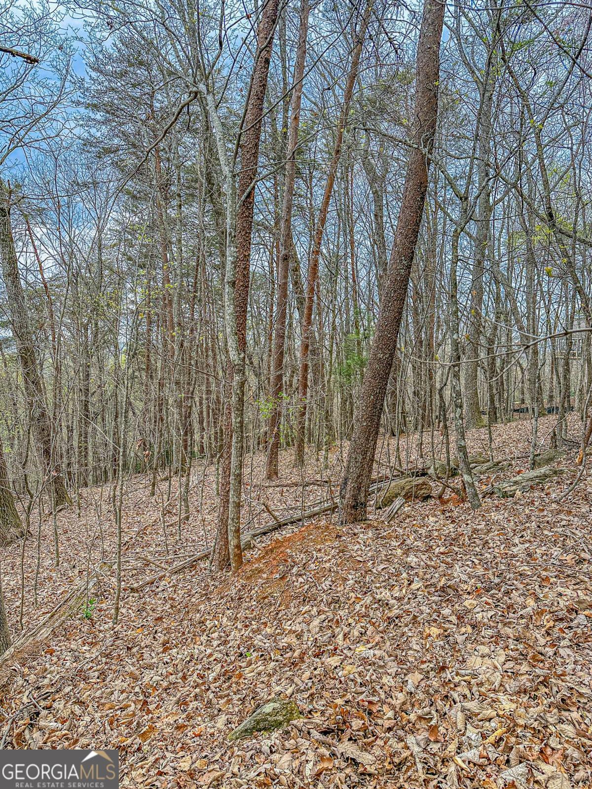 0 Green Meadows Property Photo 12
