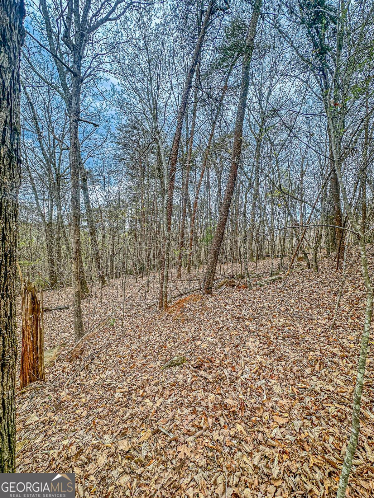 0 Green Meadows Property Photo 13
