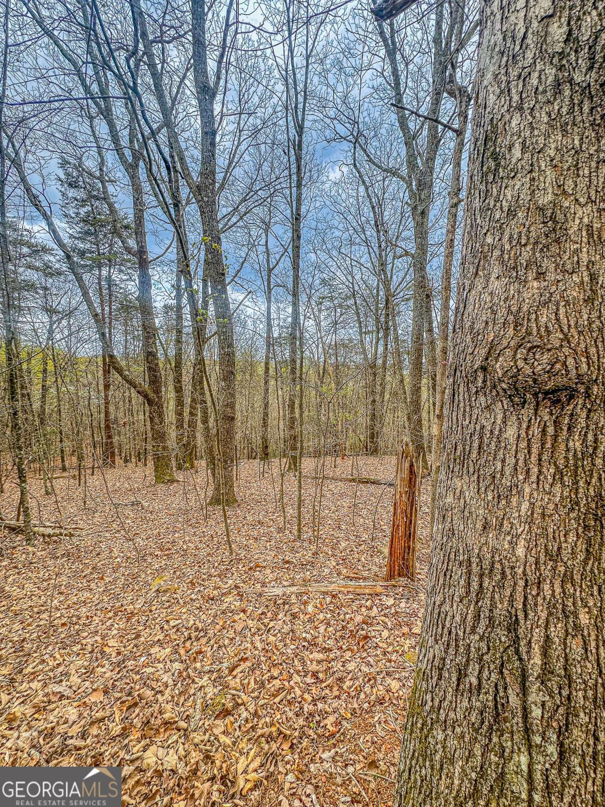 0 Green Meadows Property Photo 14
