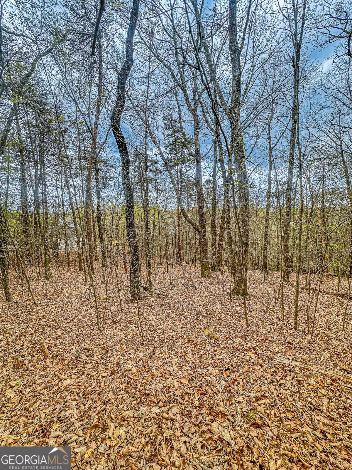 0 Green Meadows Property Photo 15