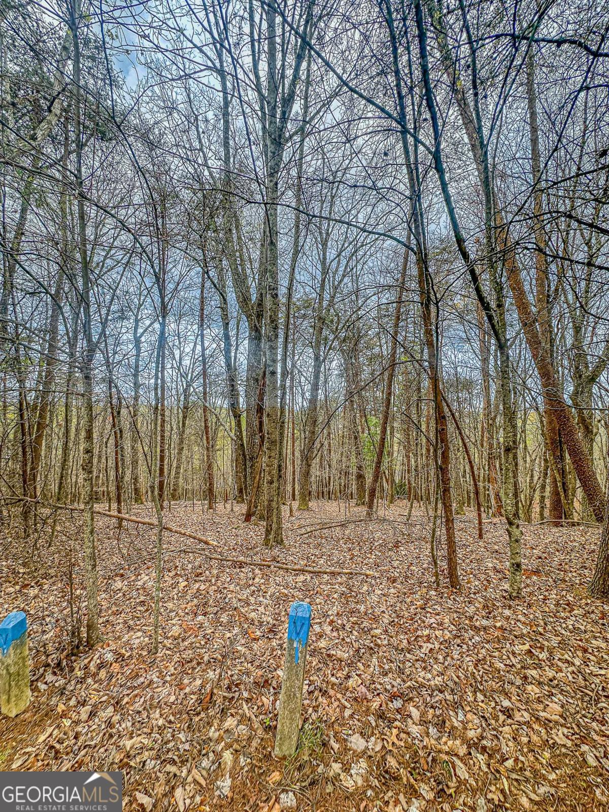 0 Green Meadows Property Photo 16
