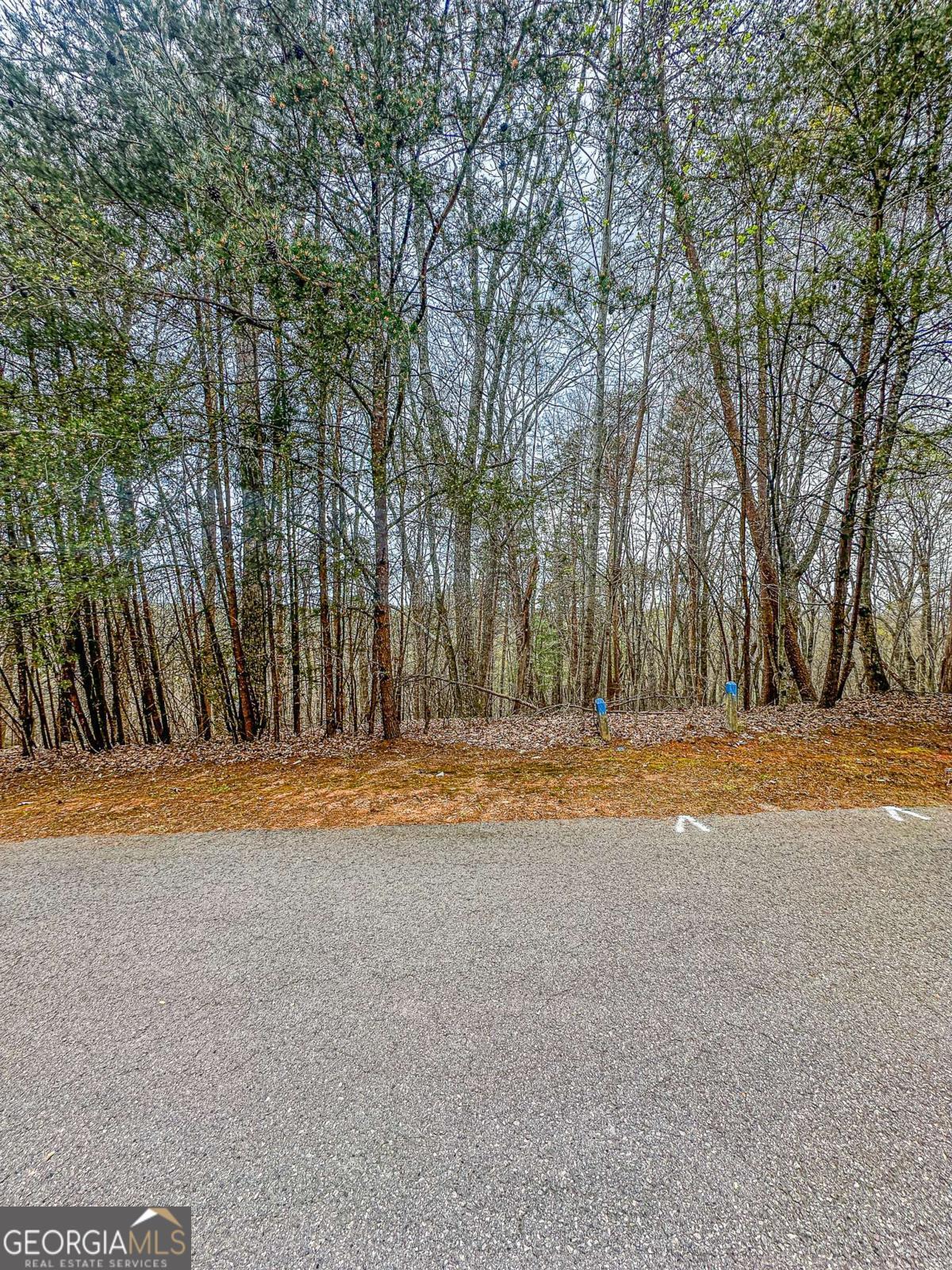 0 Green Meadows Property Photo 18