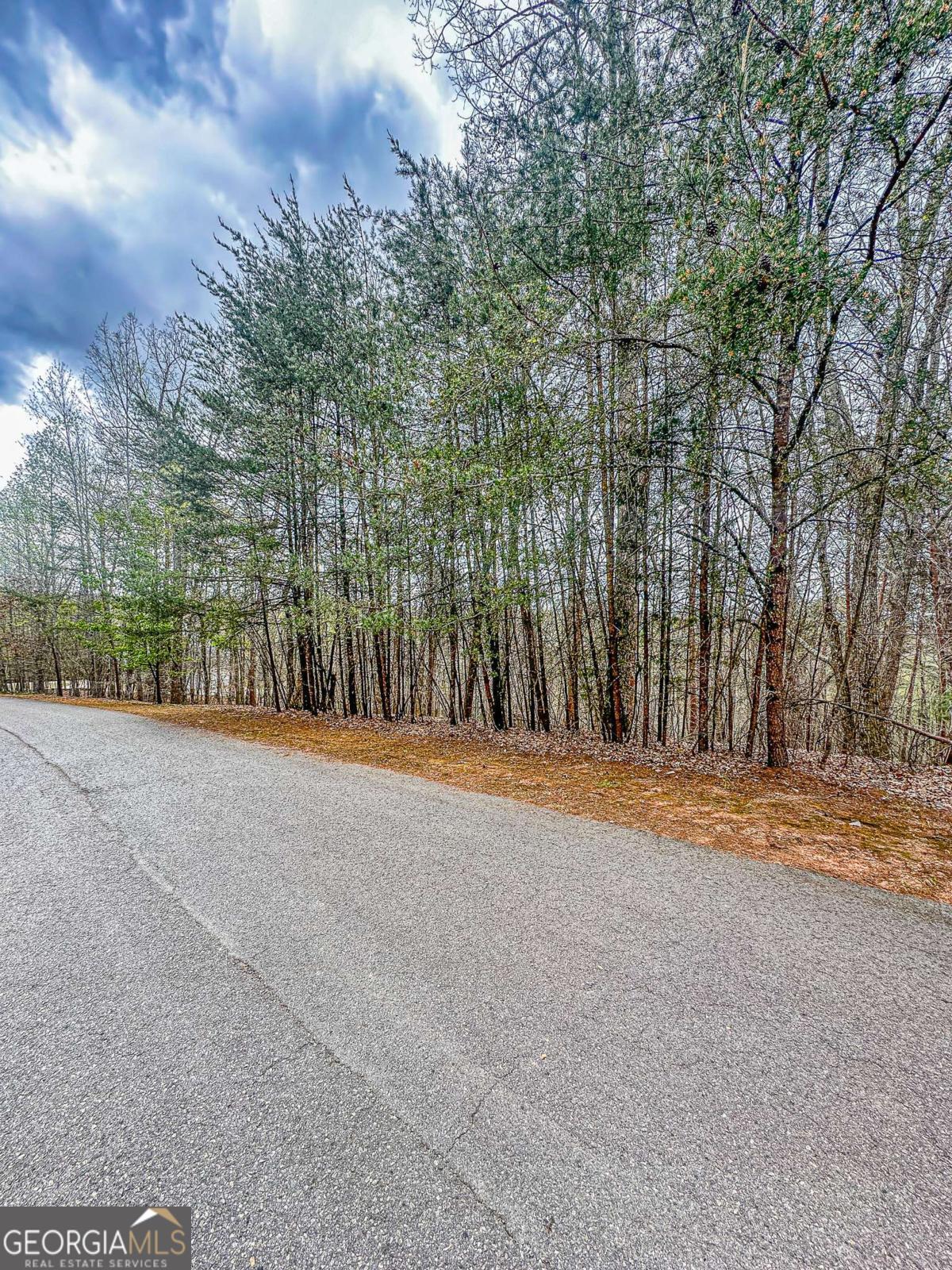 0 Green Meadows Property Photo 19