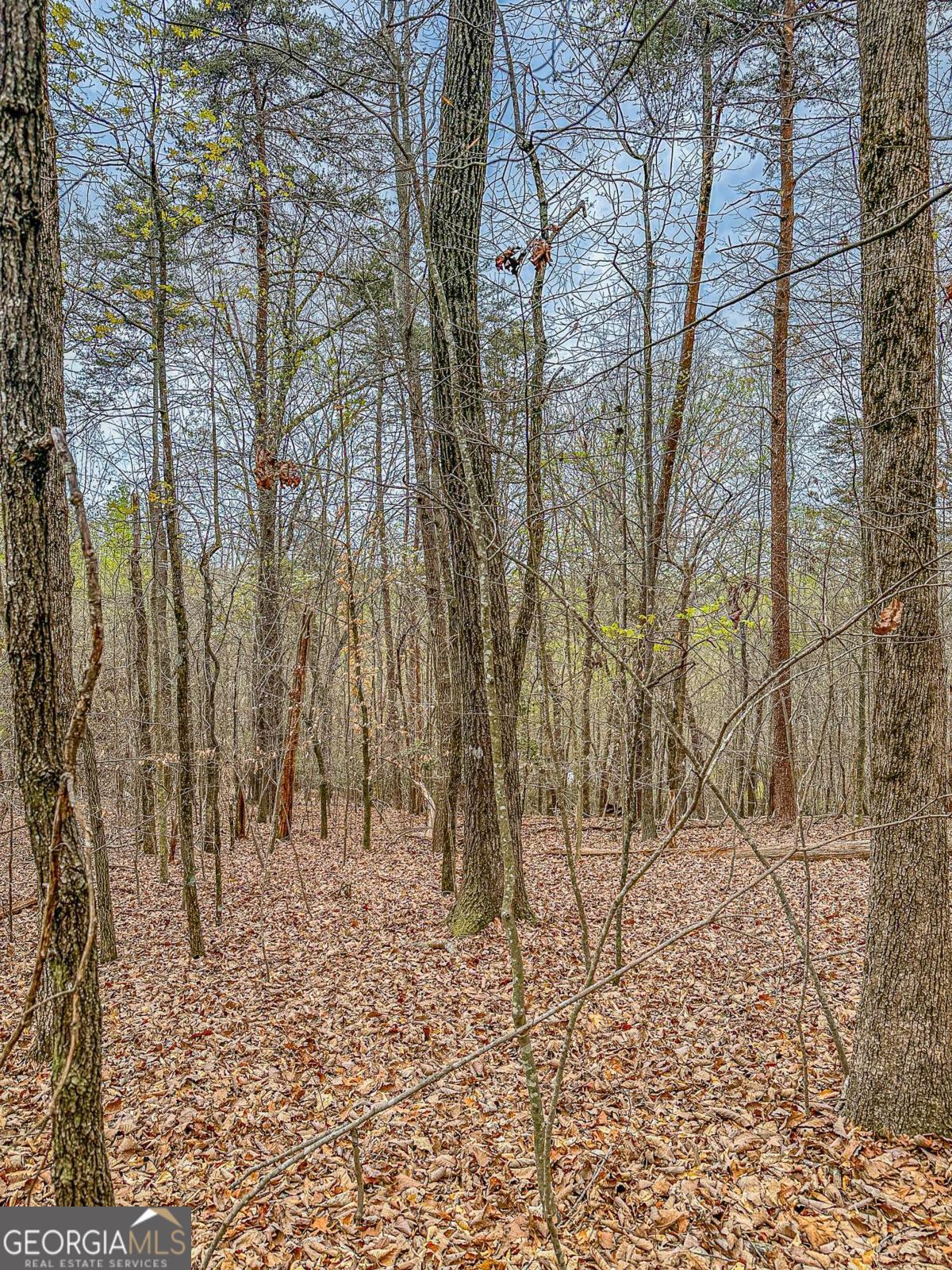 0 Green Meadows Property Photo 20