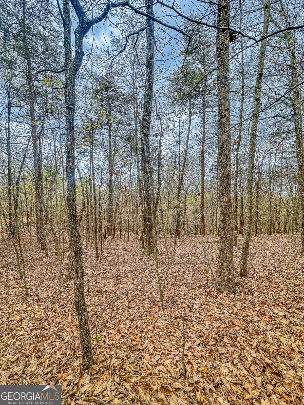 0 Green Meadows Property Photo 21