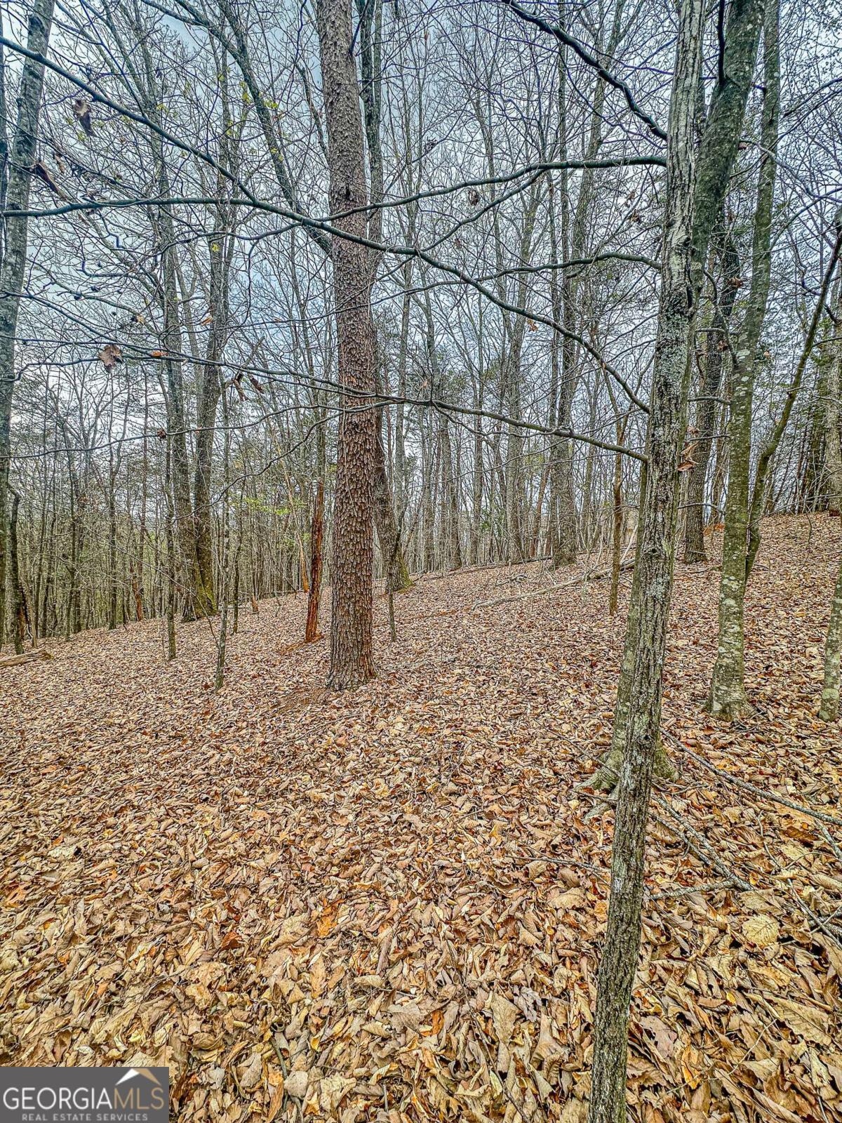 0 Green Meadows Property Photo 22