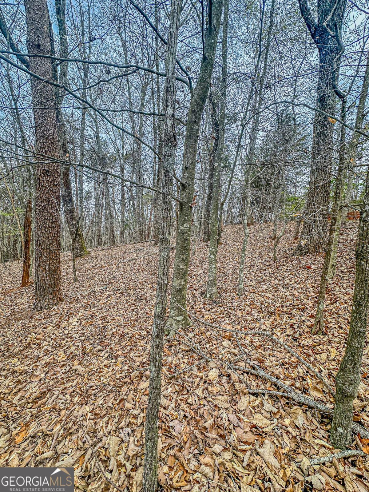 0 Green Meadows Property Photo 23