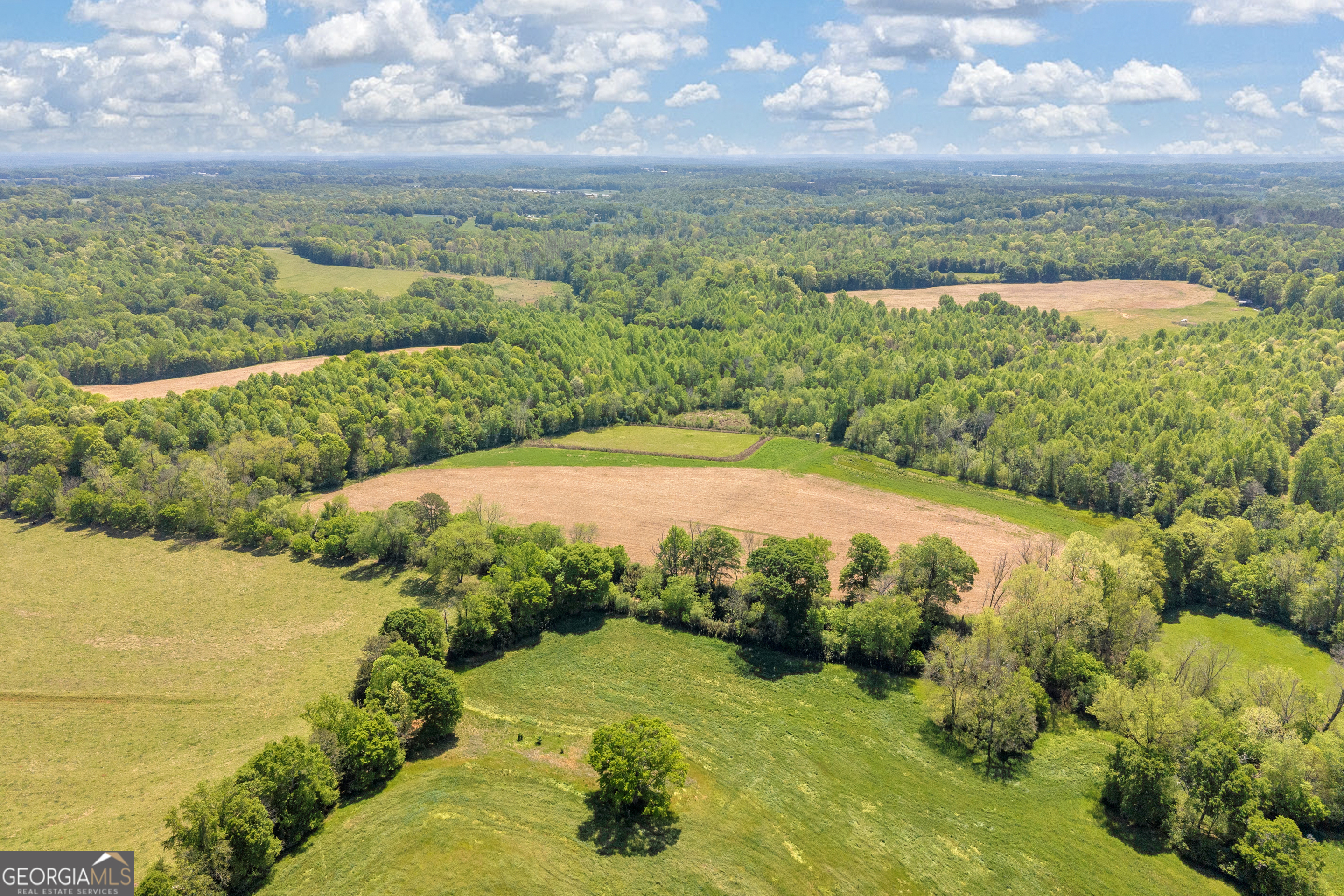 1224 Cedar Ridge Road Property Photo 6