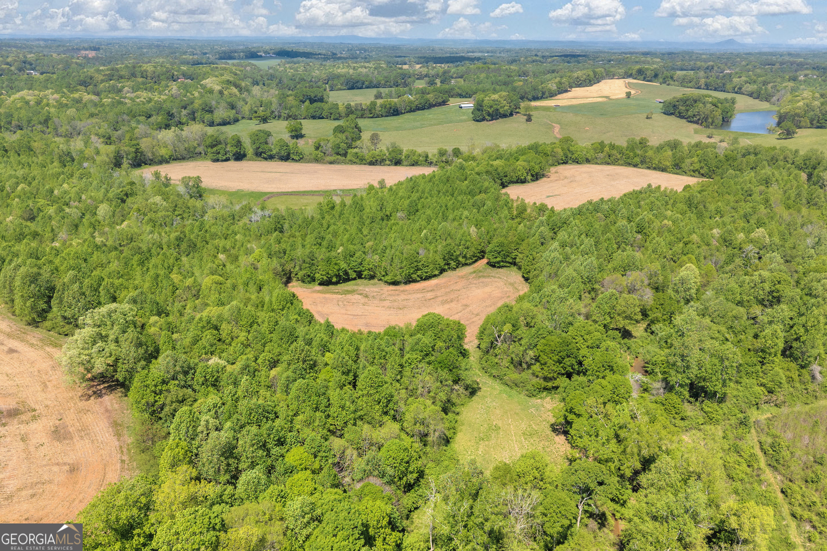 1224 Cedar Ridge Road Property Photo 10