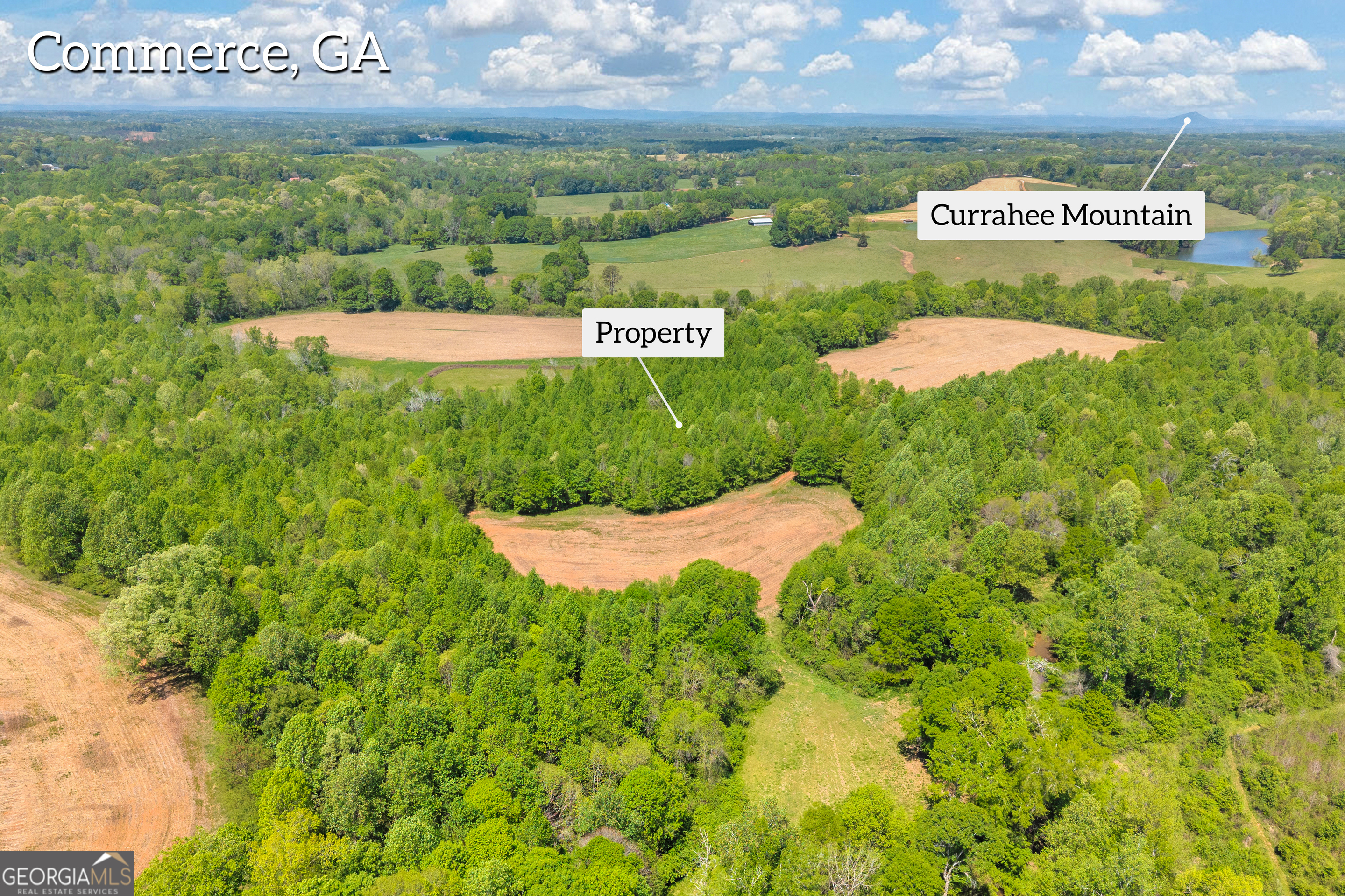 1224 Cedar Ridge Road Property Photo 11