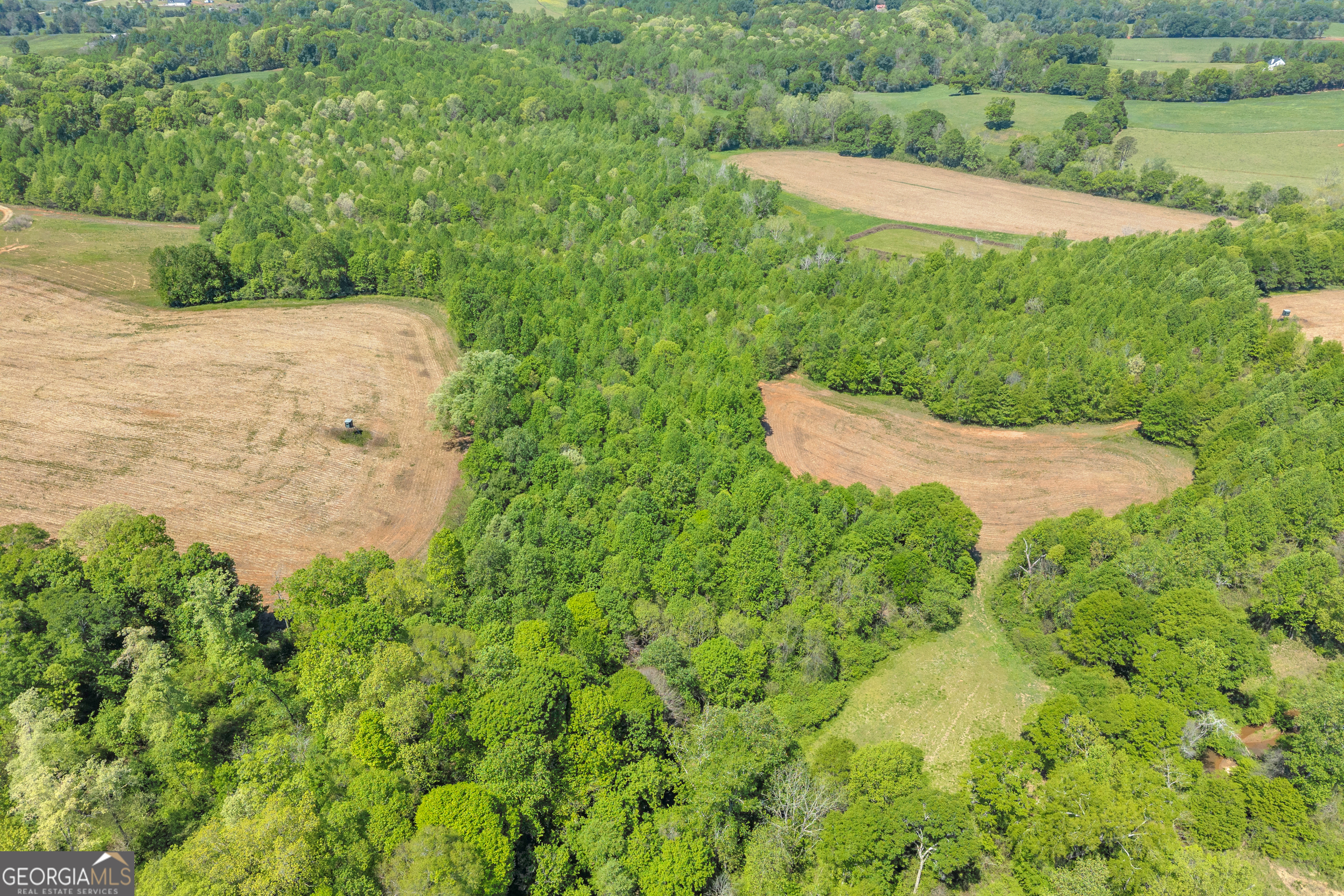 1224 Cedar Ridge Road Property Photo 15