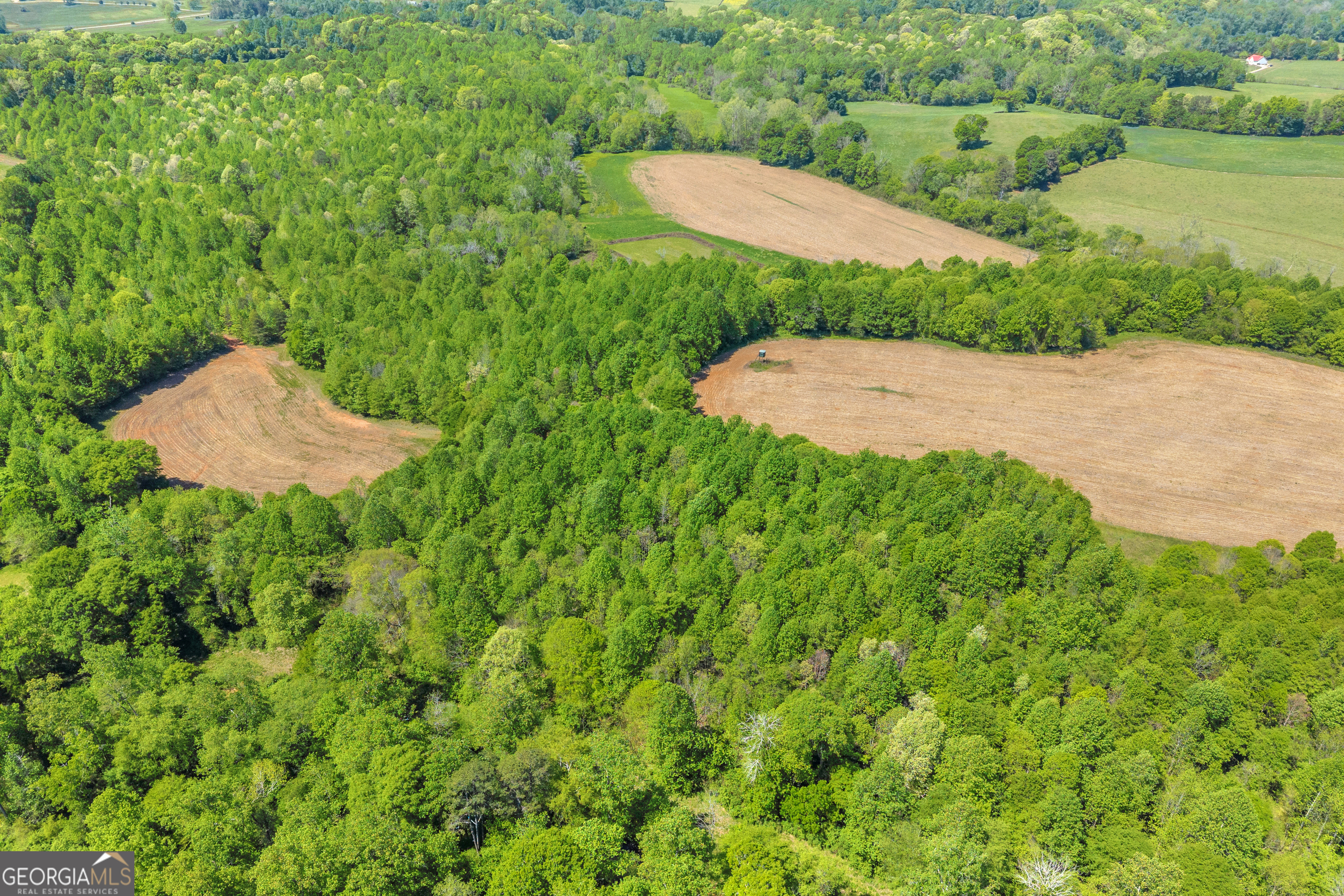 1224 Cedar Ridge Road Property Photo 16