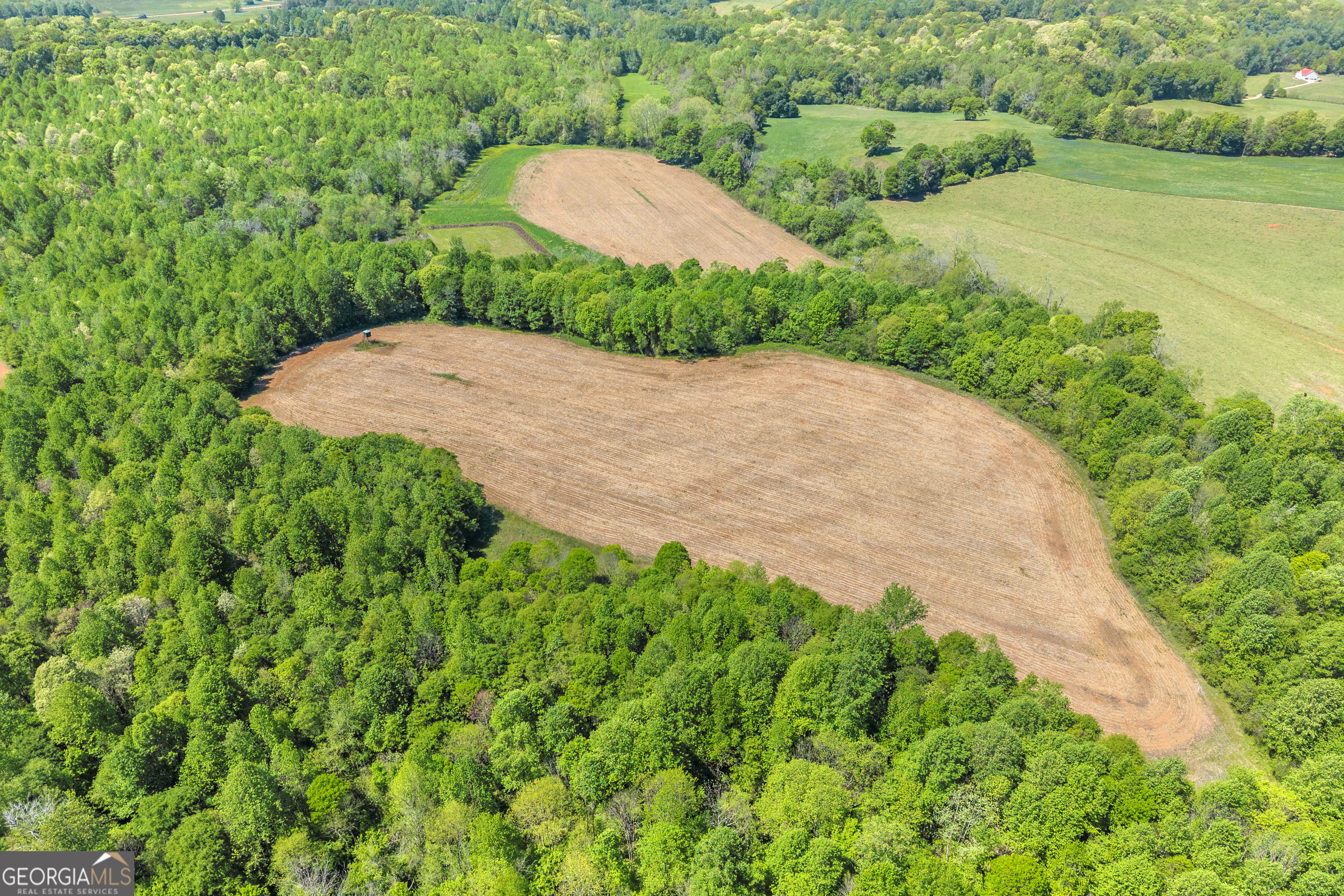 1224 Cedar Ridge Road Property Photo 17