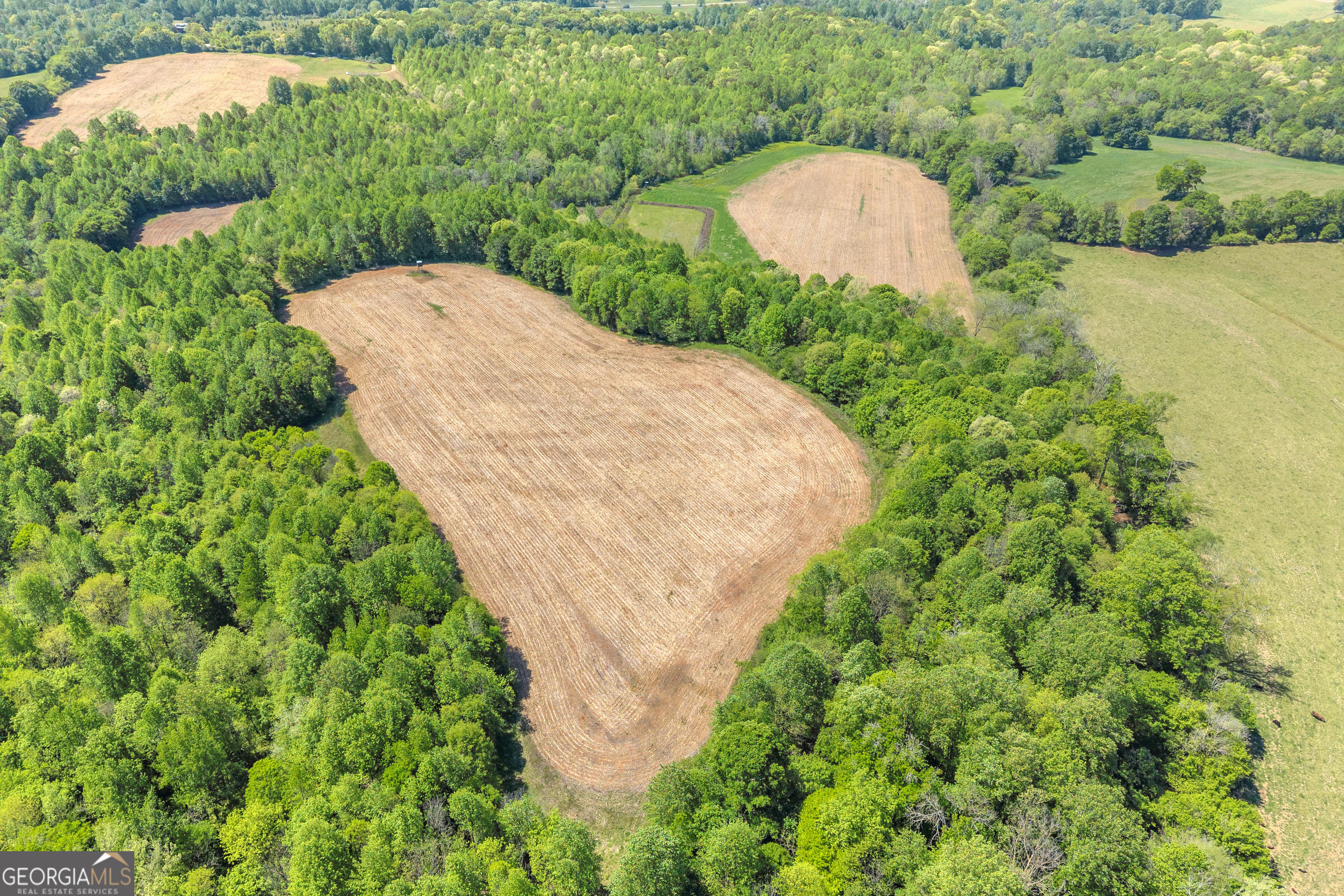 1224 Cedar Ridge Road Property Photo 18