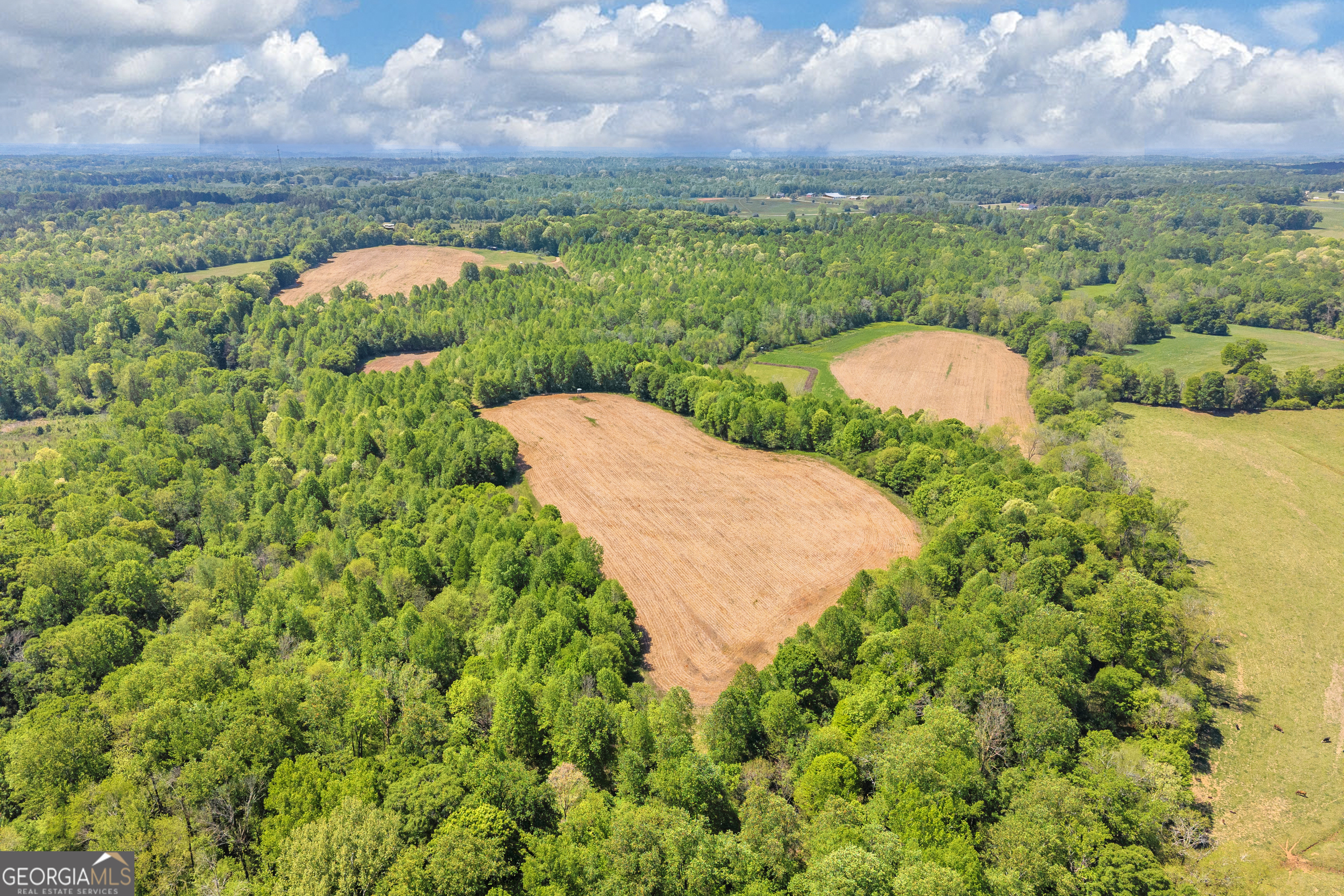 1224 Cedar Ridge Road Property Photo 19