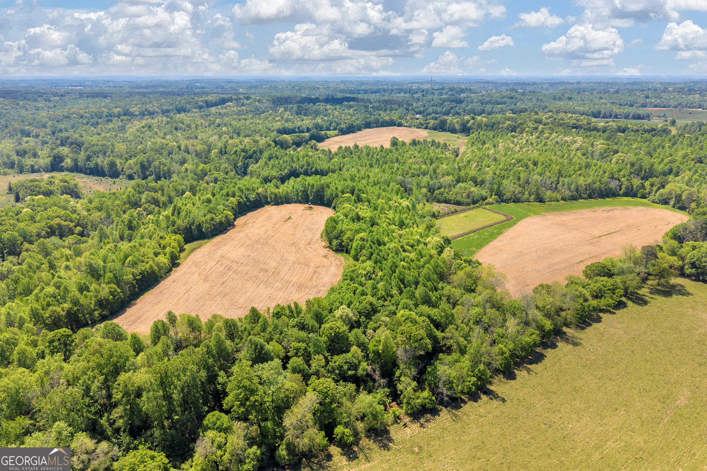 1224 Cedar Ridge Road Property Photo 20