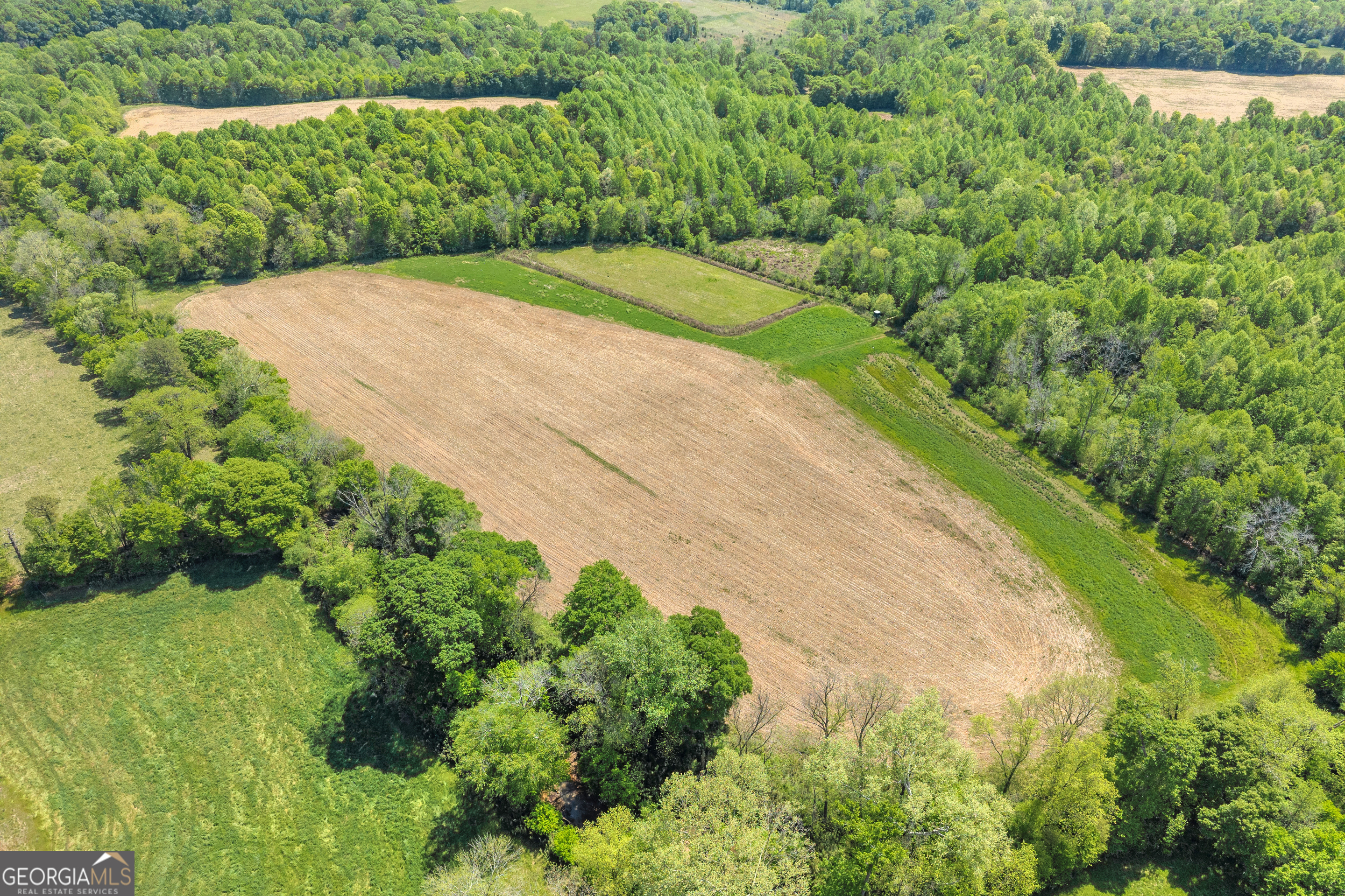 1224 Cedar Ridge Road Property Photo 22