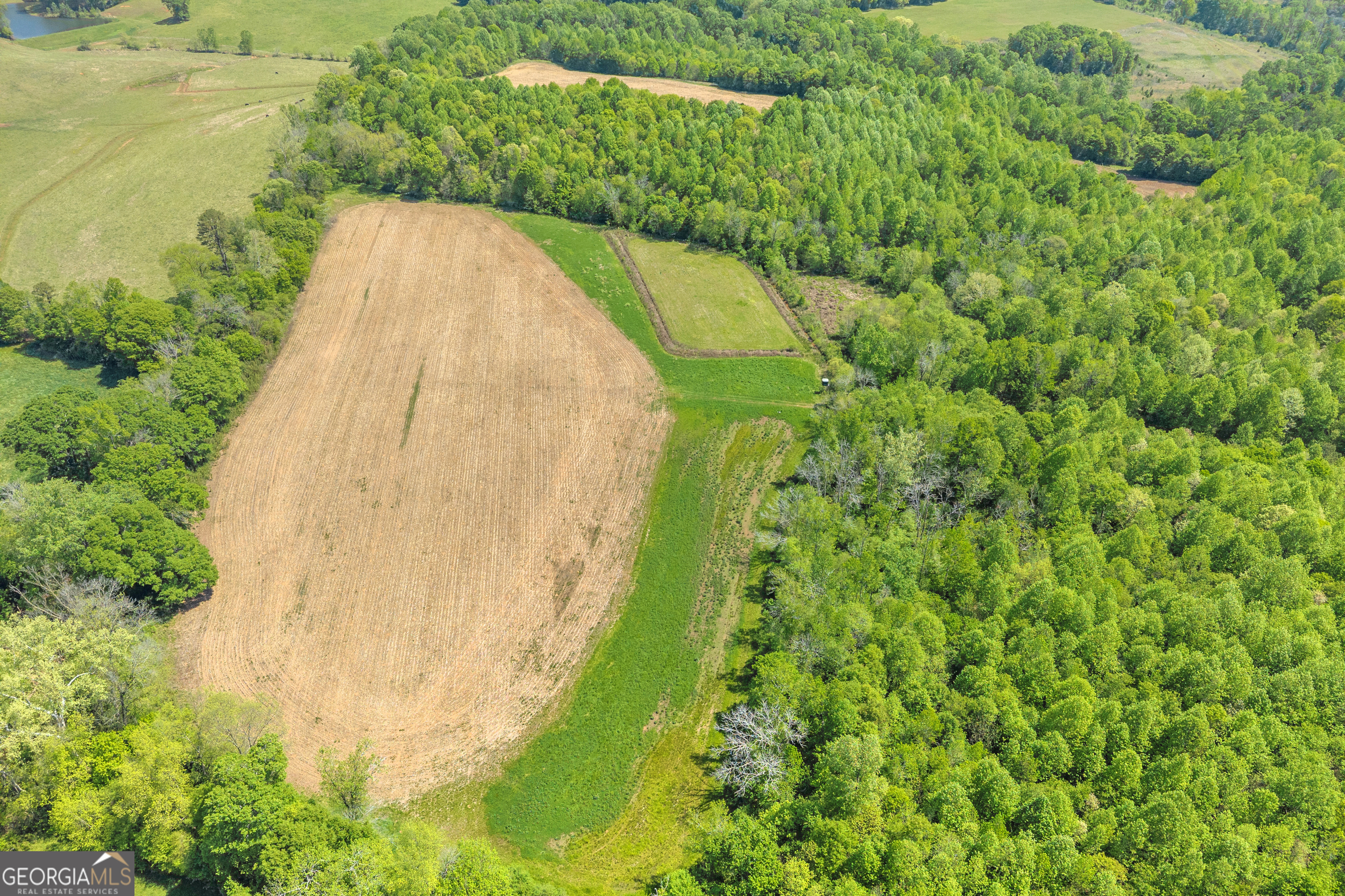 1224 Cedar Ridge Road Property Photo 23