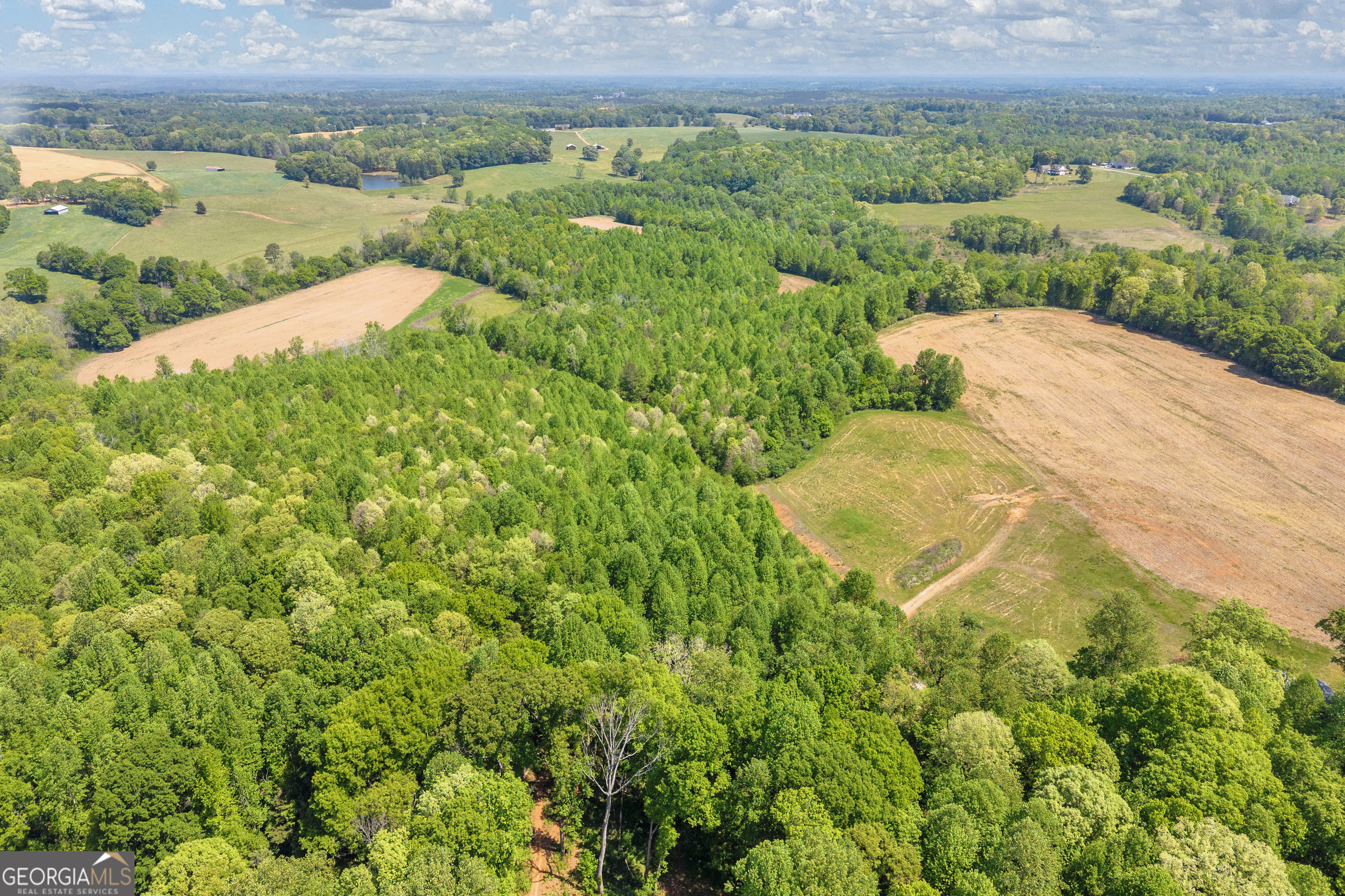 1224 Cedar Ridge Road Property Photo 26