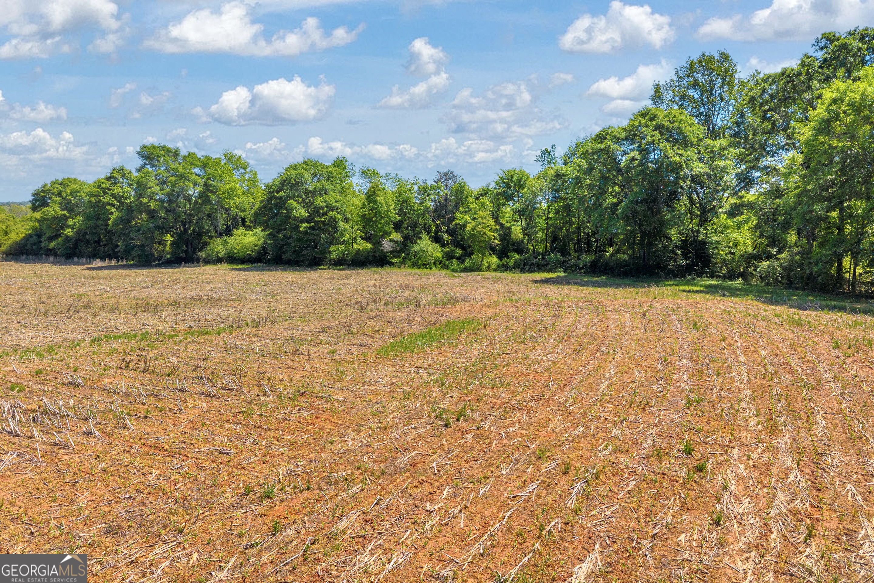 1224 Cedar Ridge Road Property Photo 28