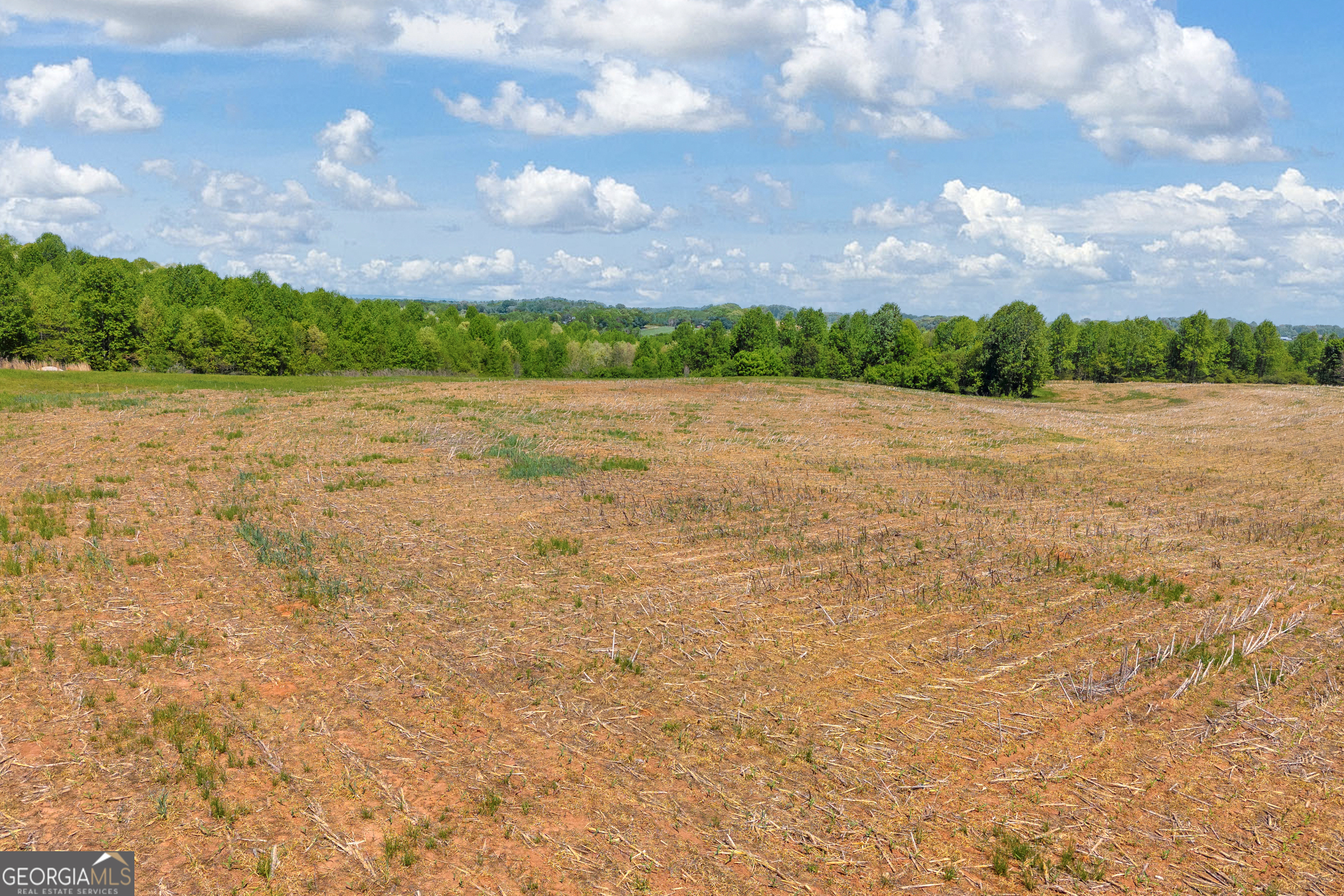 1224 Cedar Ridge Road Property Photo 29
