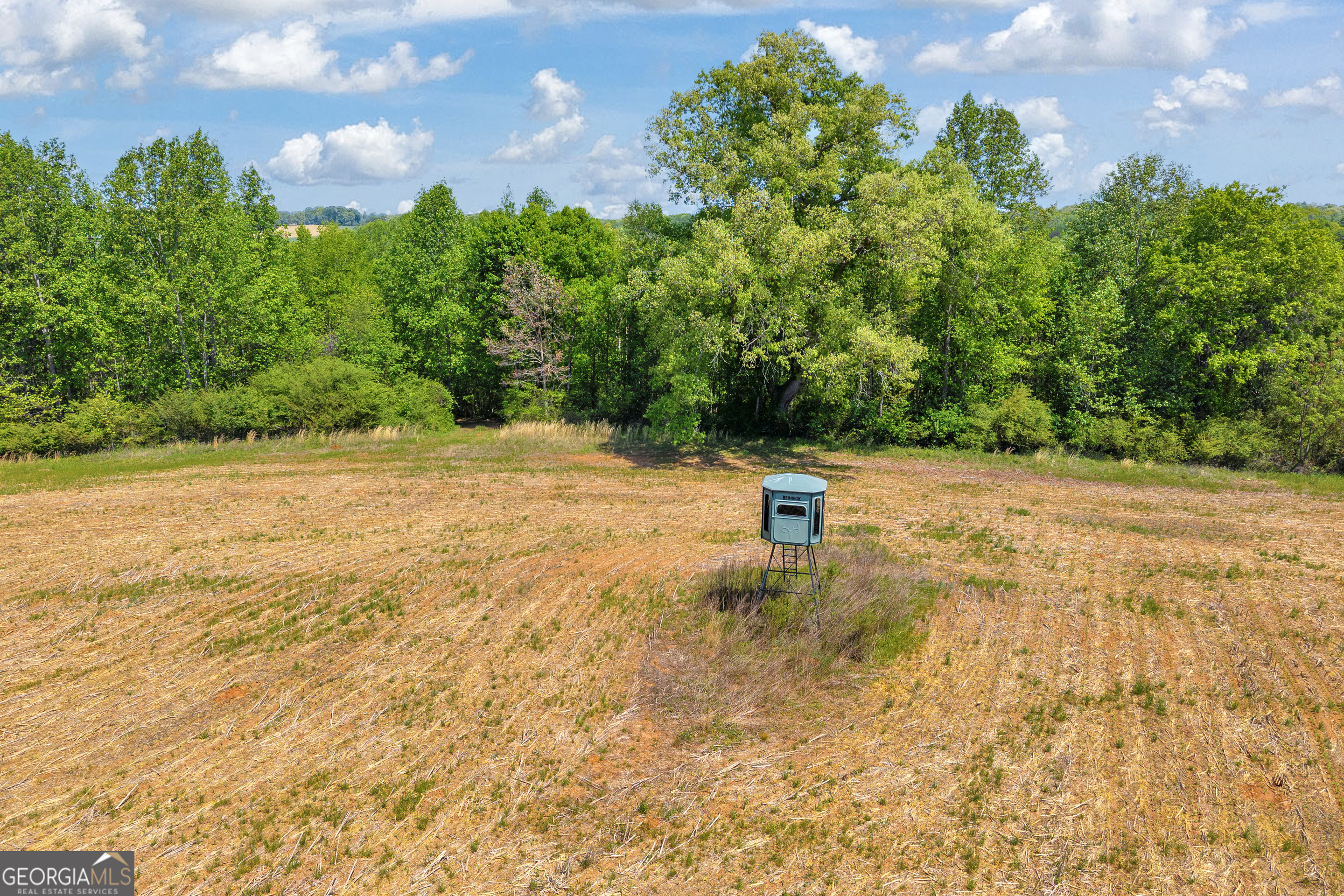 1224 Cedar Ridge Road Property Photo 31