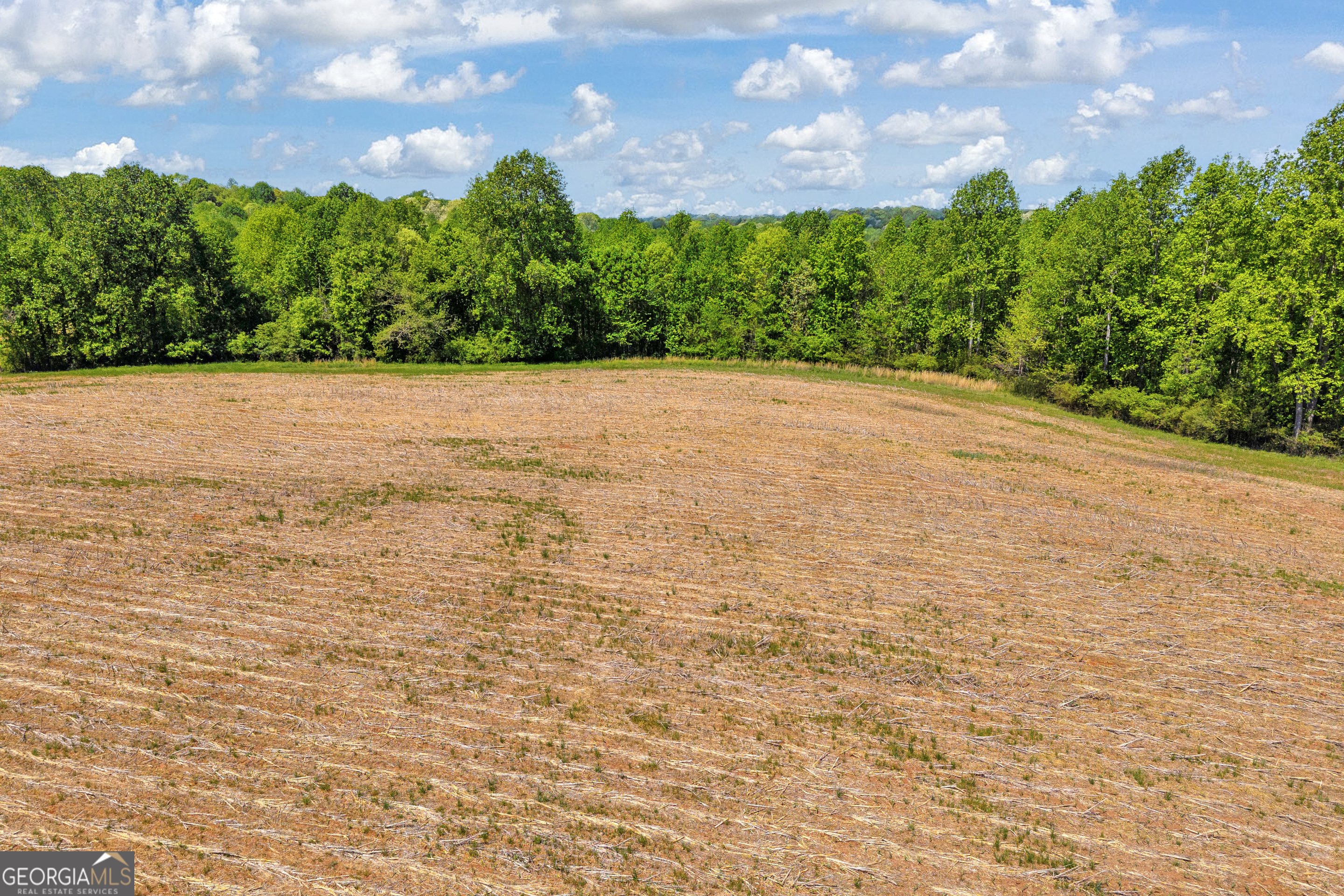 1224 Cedar Ridge Road Property Photo 32