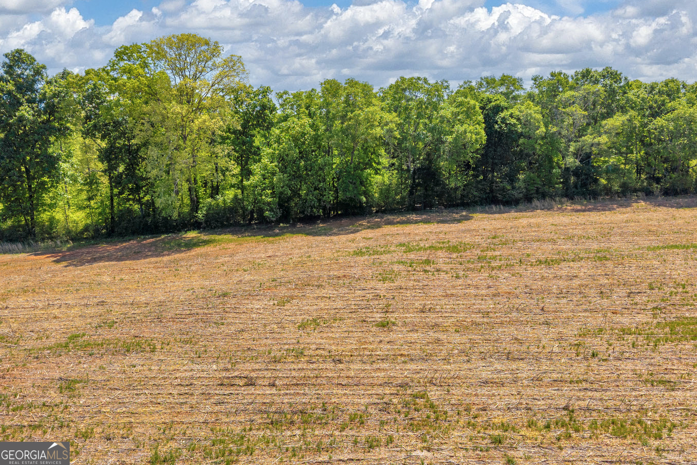 1224 Cedar Ridge Road Property Photo 33
