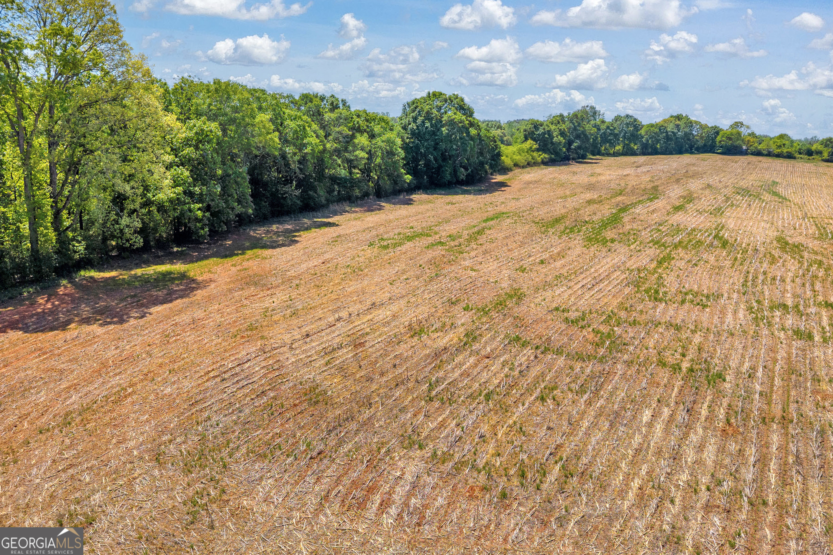 1224 Cedar Ridge Road Property Photo 34