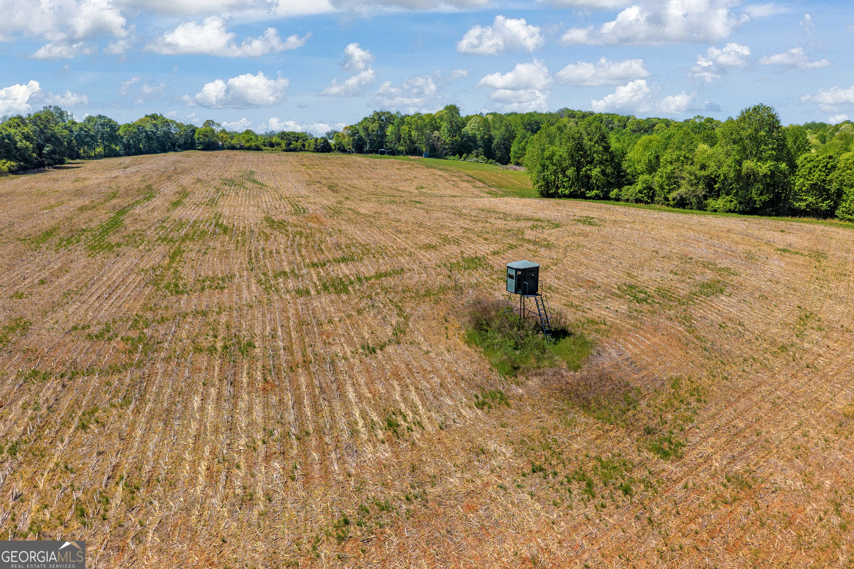 1224 Cedar Ridge Road Property Photo 35