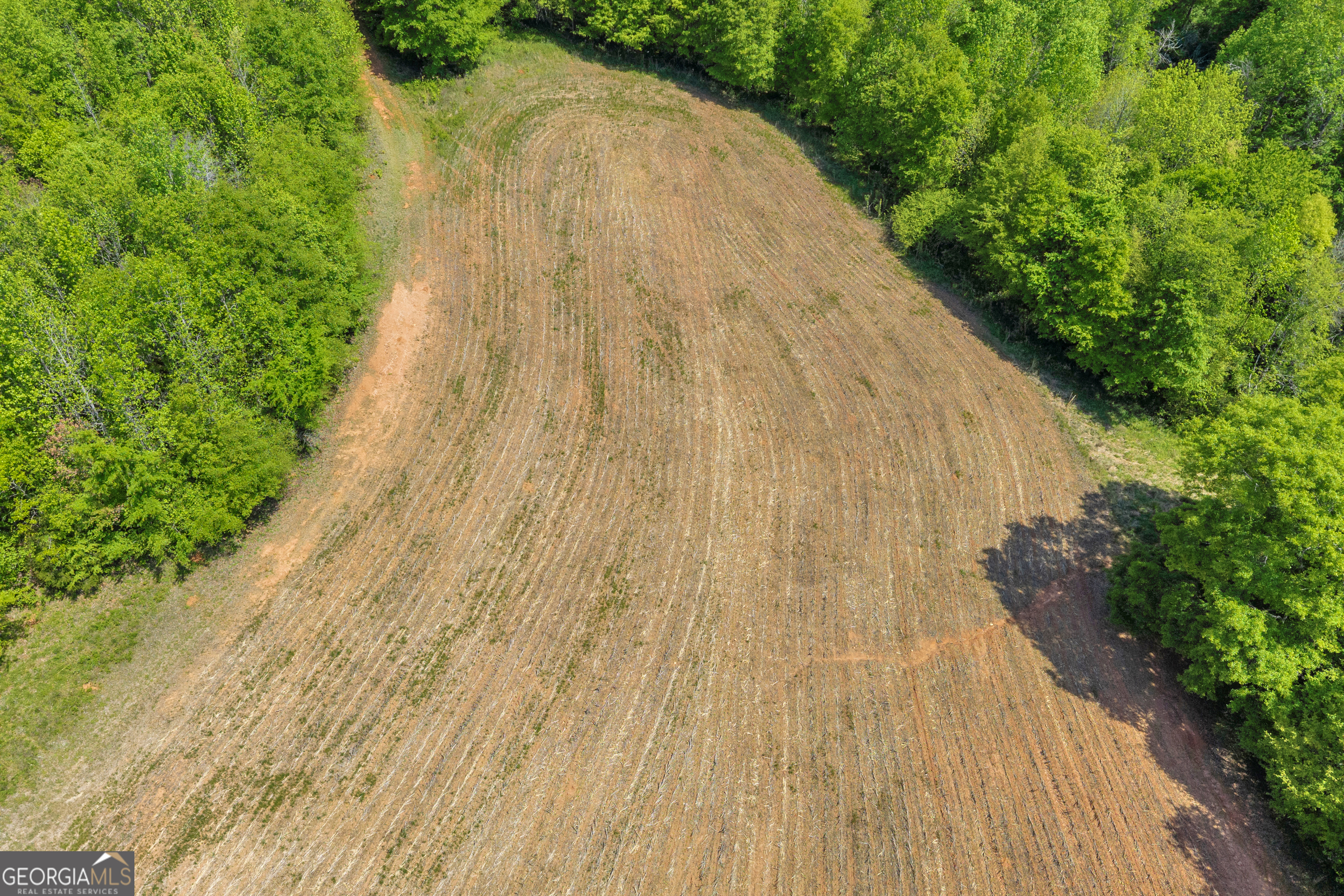 1224 Cedar Ridge Road Property Photo 37