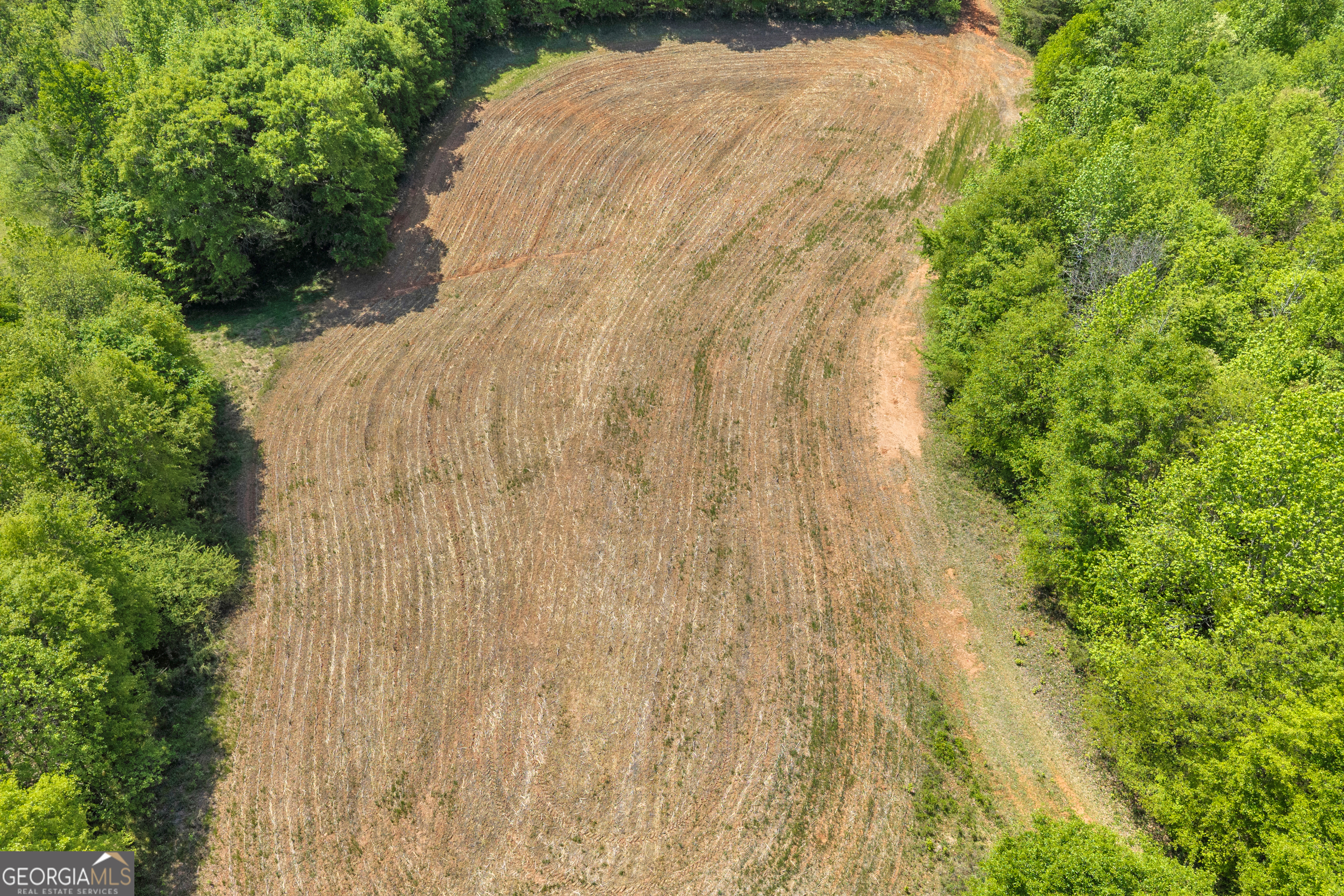 1224 Cedar Ridge Road Property Photo 38