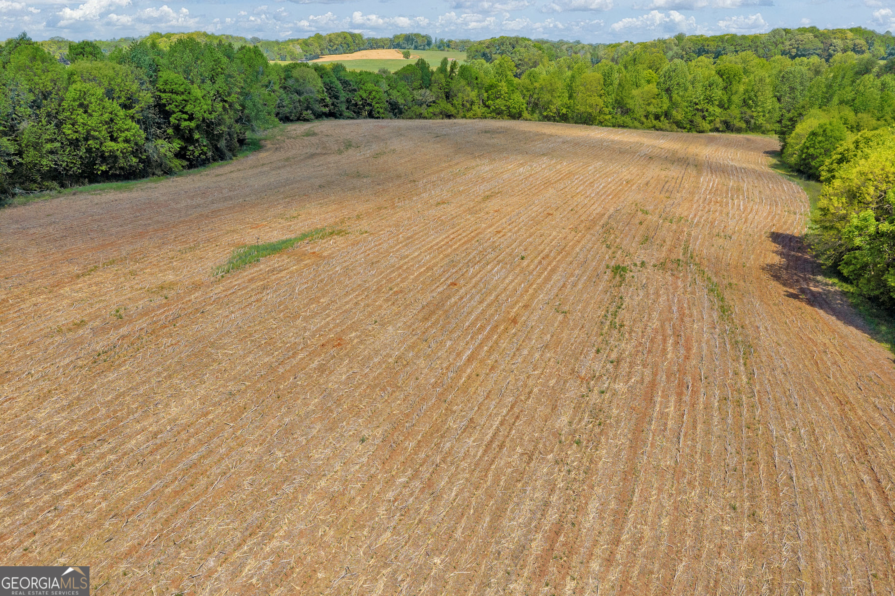 1224 Cedar Ridge Road Property Photo 39