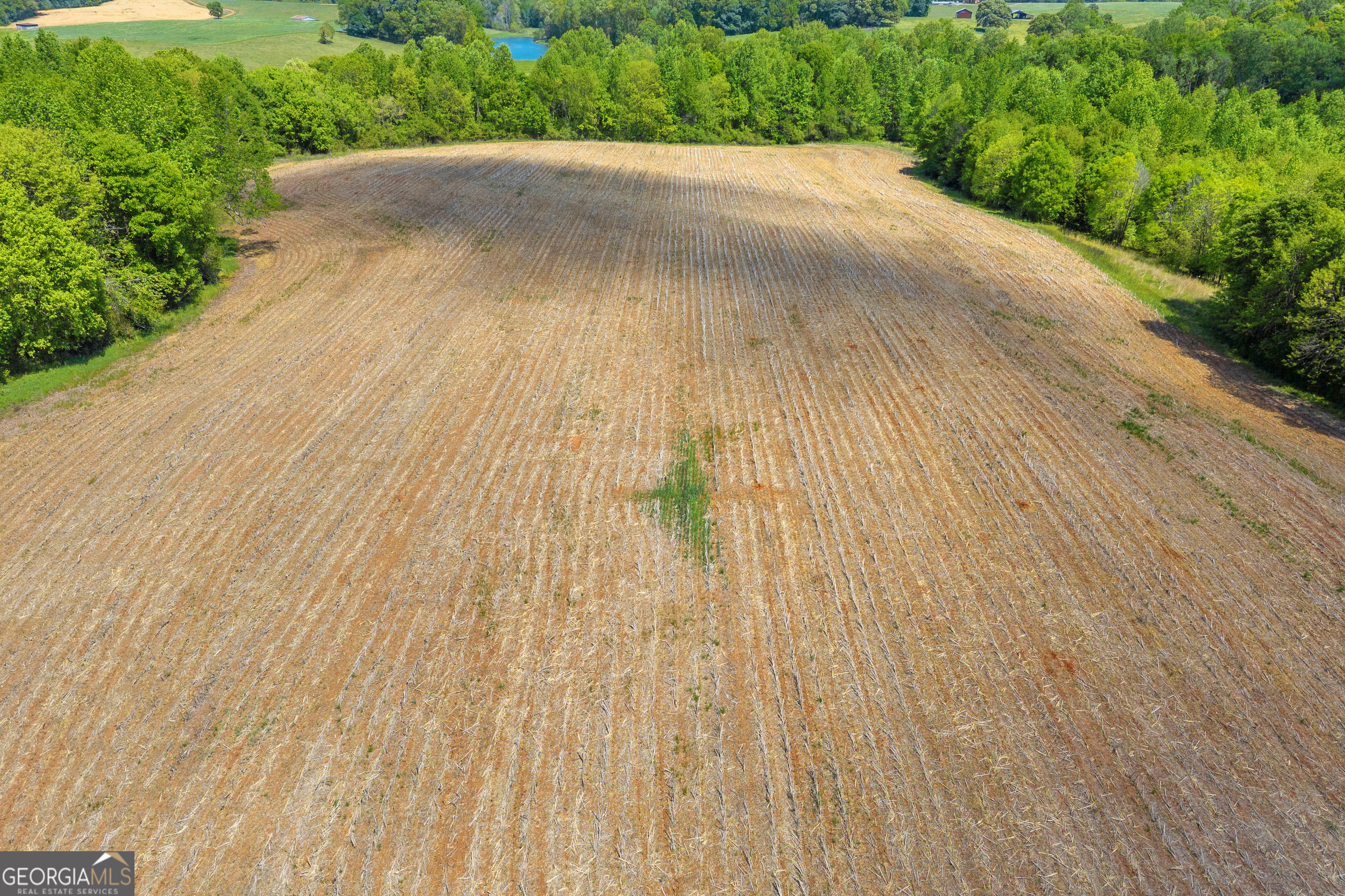 1224 Cedar Ridge Road Property Photo 41