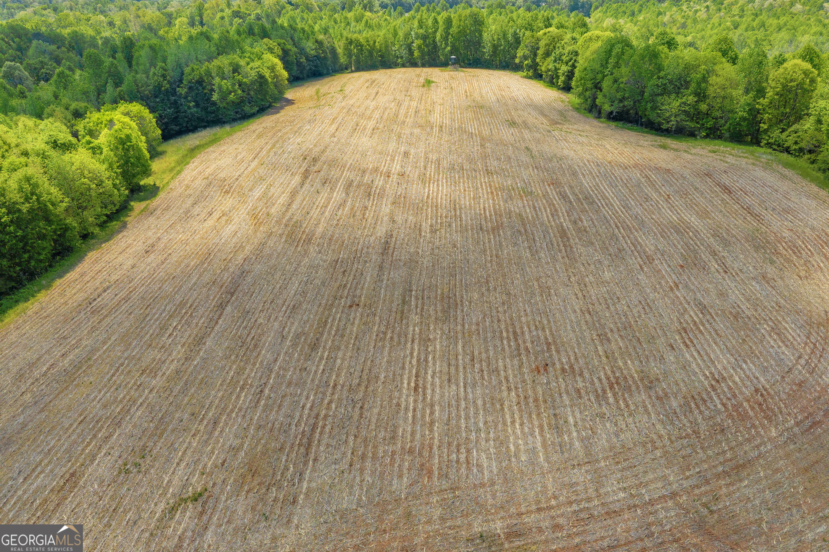 1224 Cedar Ridge Road Property Photo 43