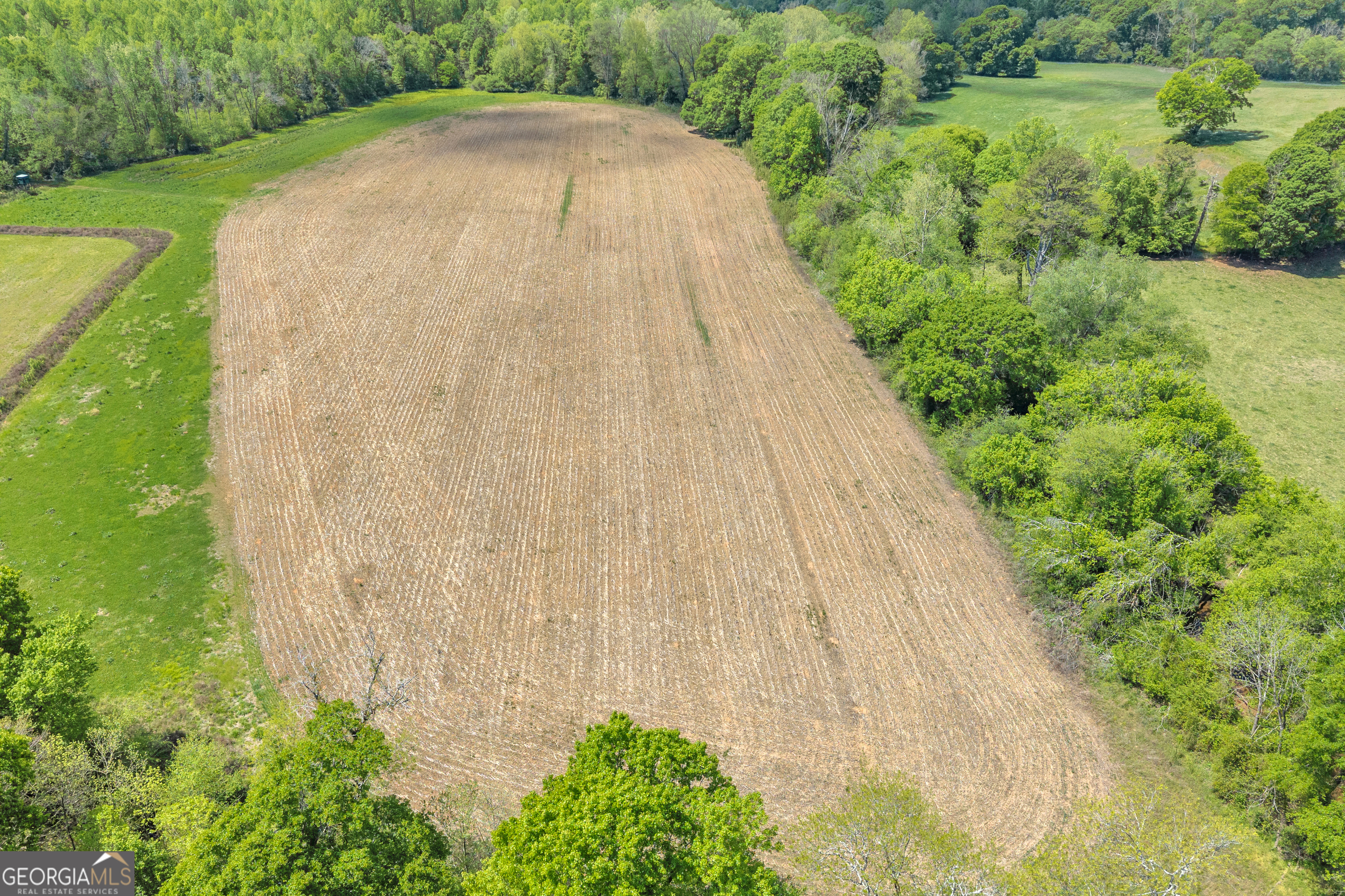 1224 Cedar Ridge Road Property Photo 45