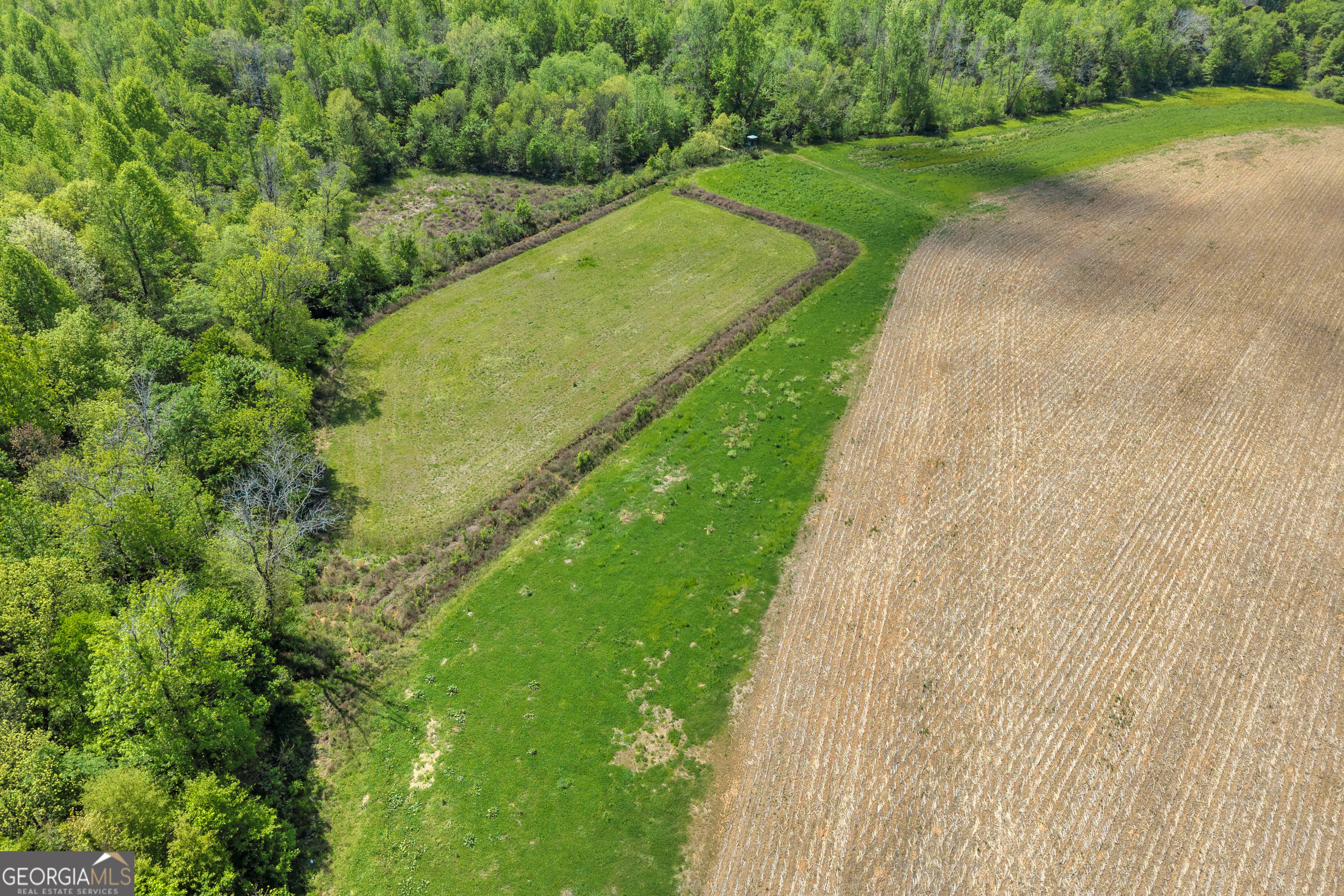 1224 Cedar Ridge Road Property Photo 46