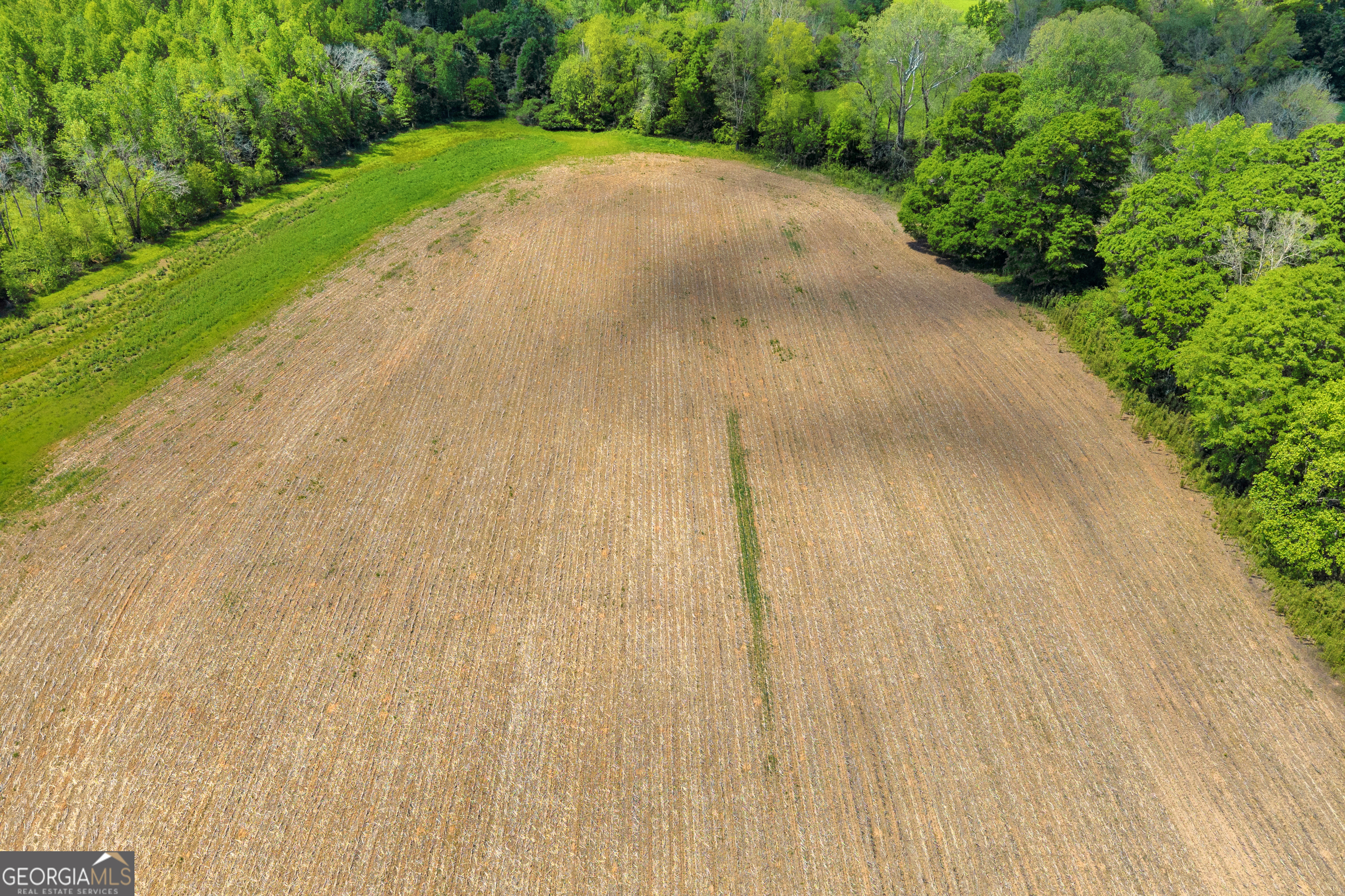 1224 Cedar Ridge Road Property Photo 47
