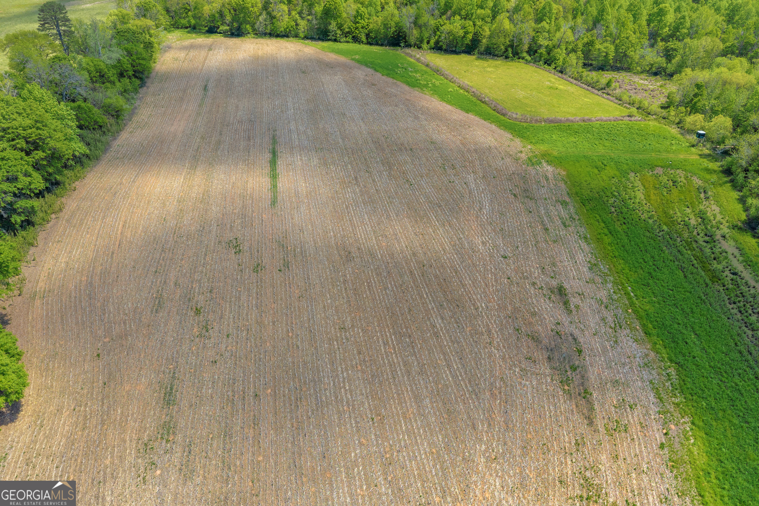 1224 Cedar Ridge Road Property Photo 49