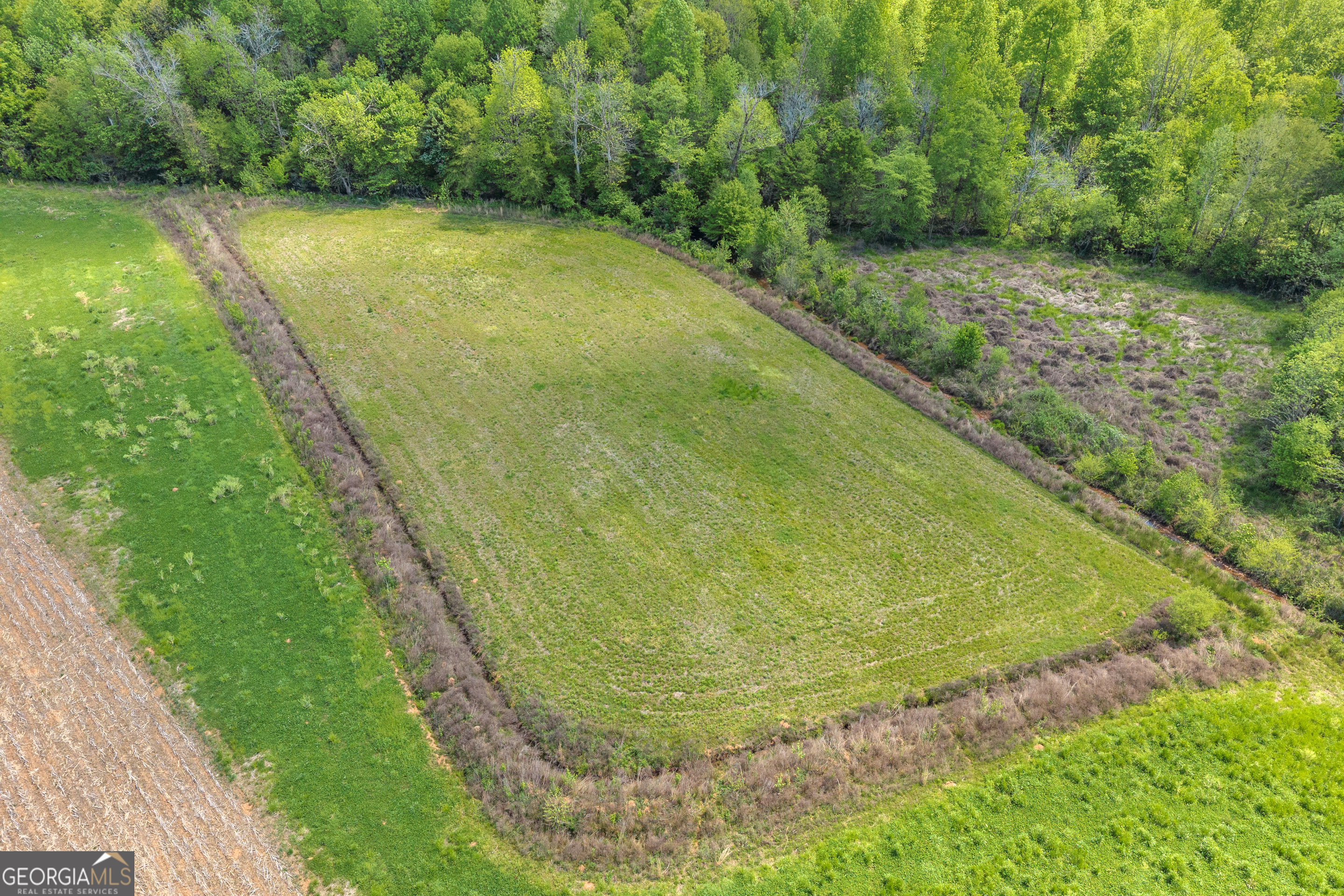 1224 Cedar Ridge Road Property Photo 50