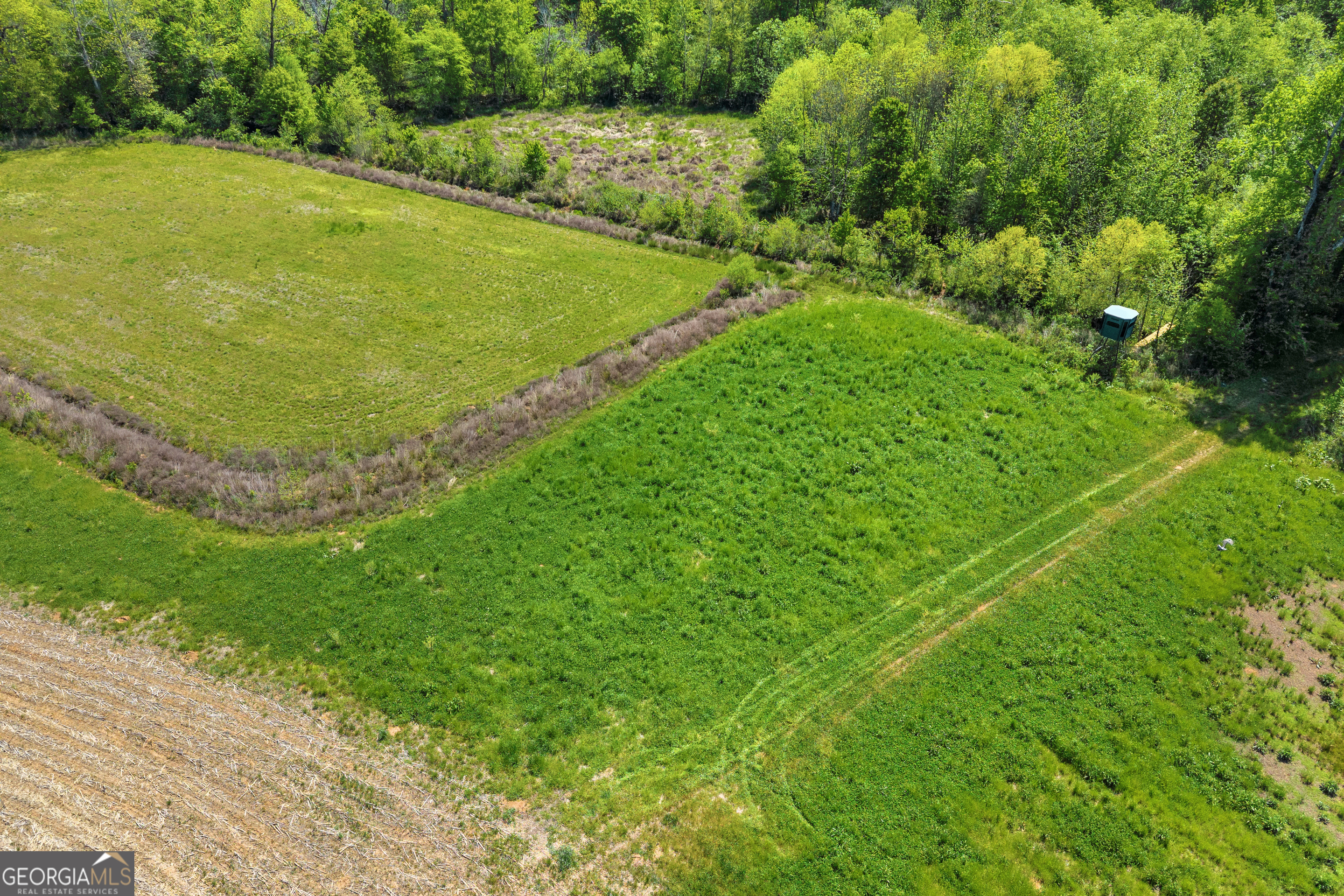 1224 Cedar Ridge Road Property Photo 53