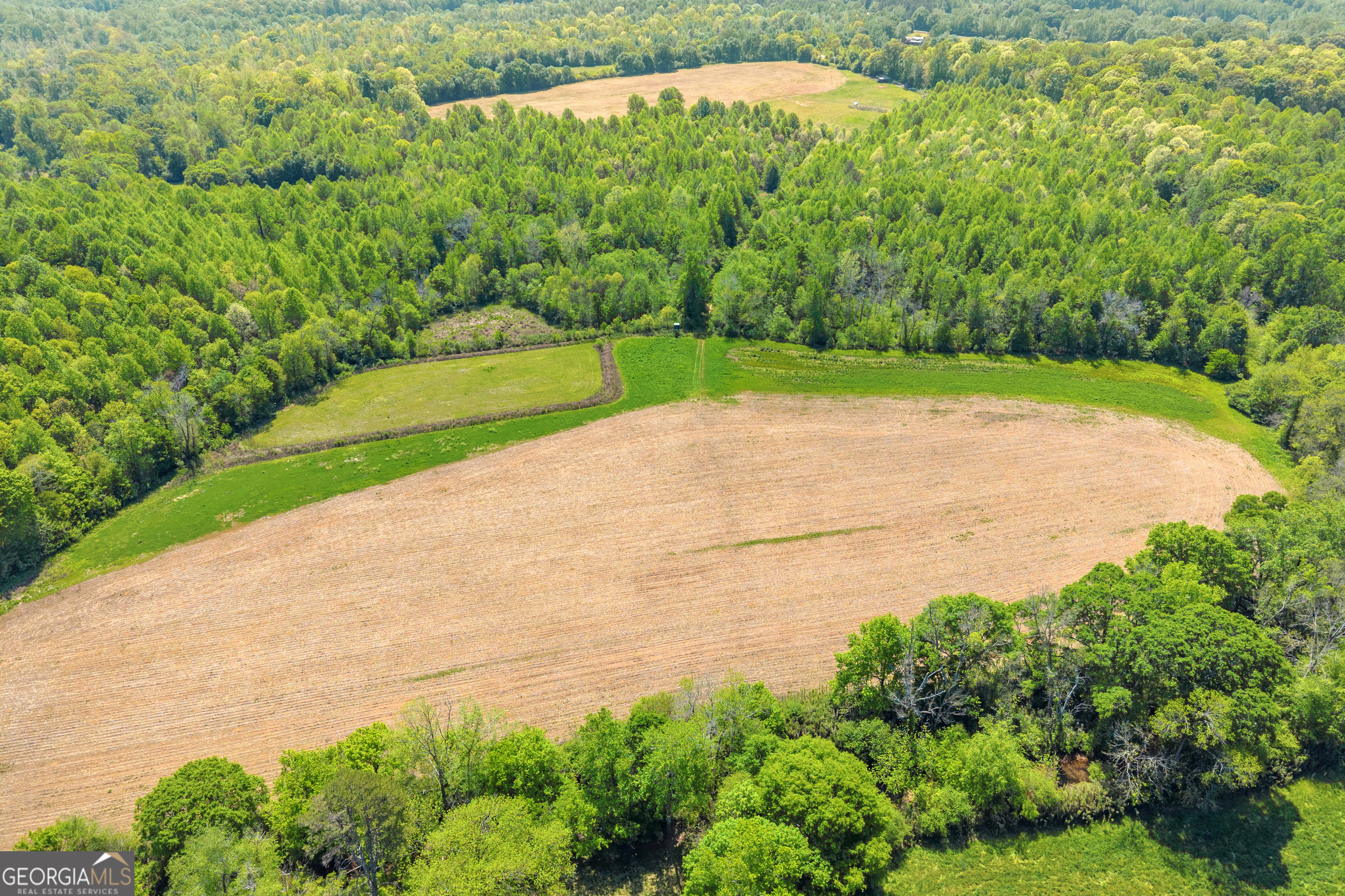 1224 Cedar Ridge Road Property Photo 54