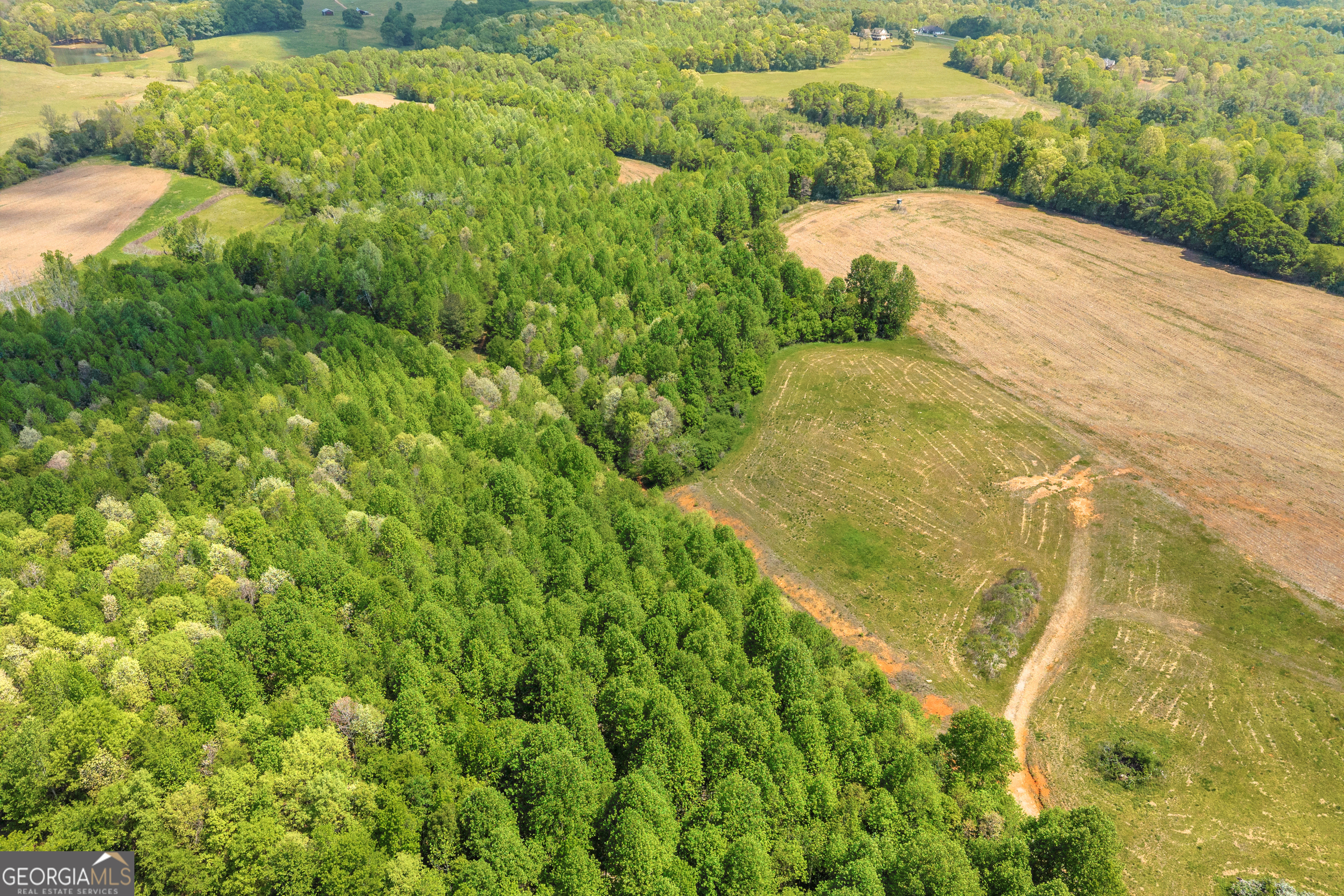 1224 Cedar Ridge Road Property Photo 56