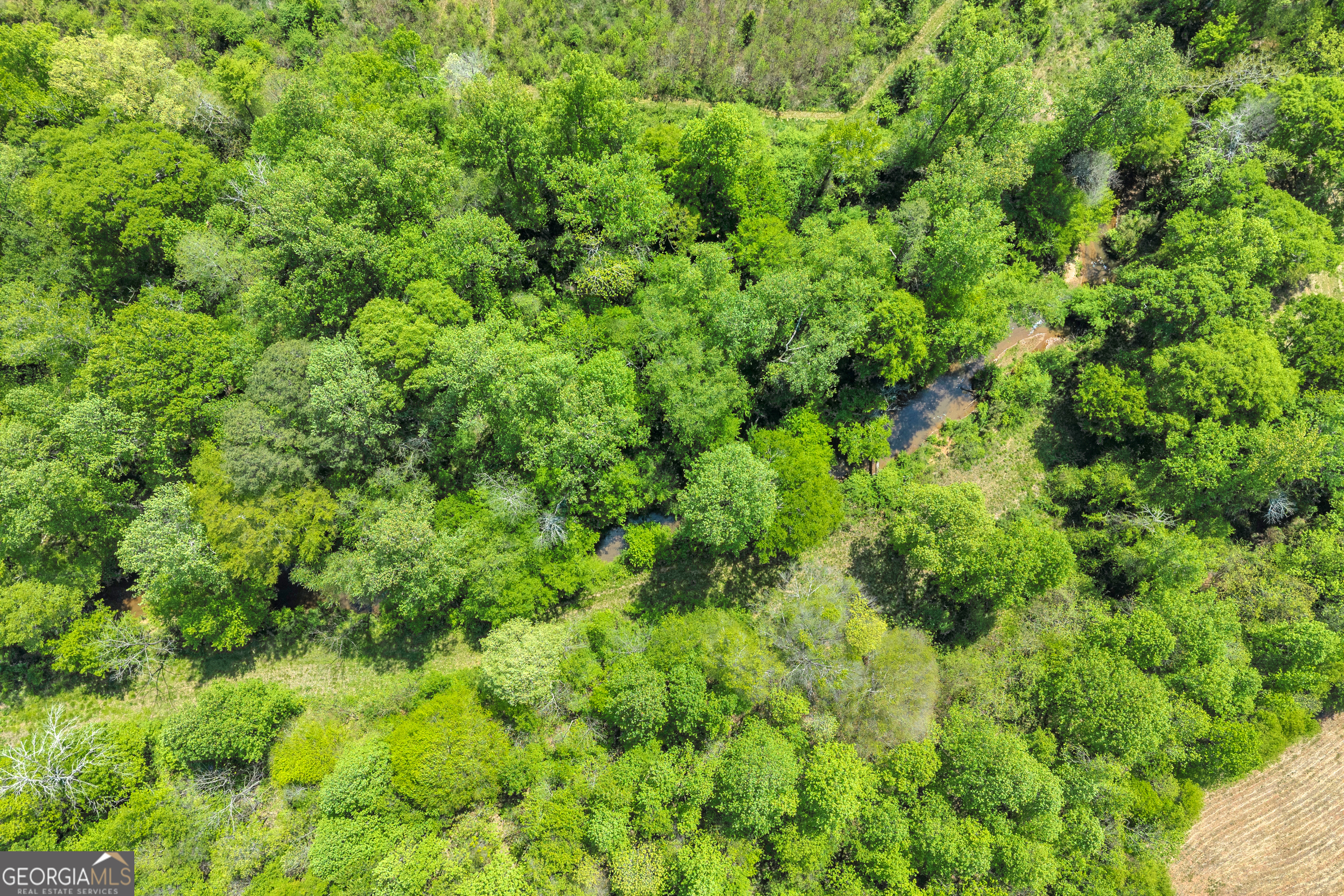1224 Cedar Ridge Road Property Photo 58